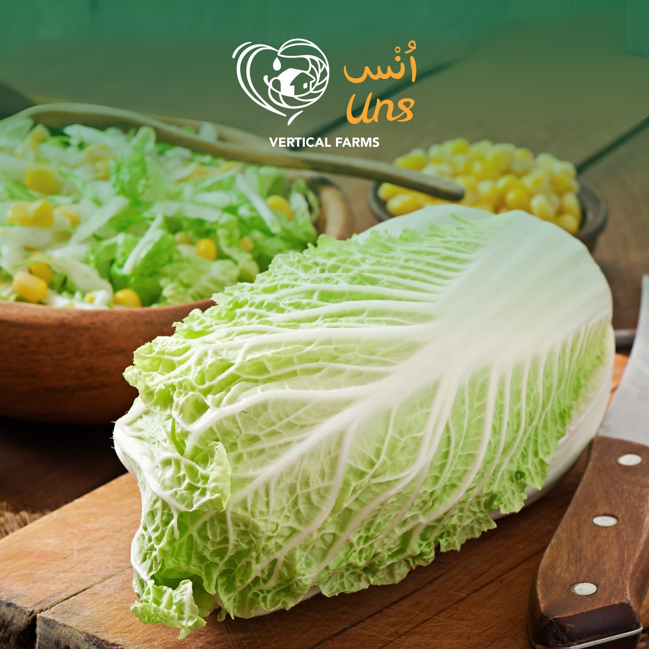 Cabbage Chinese China