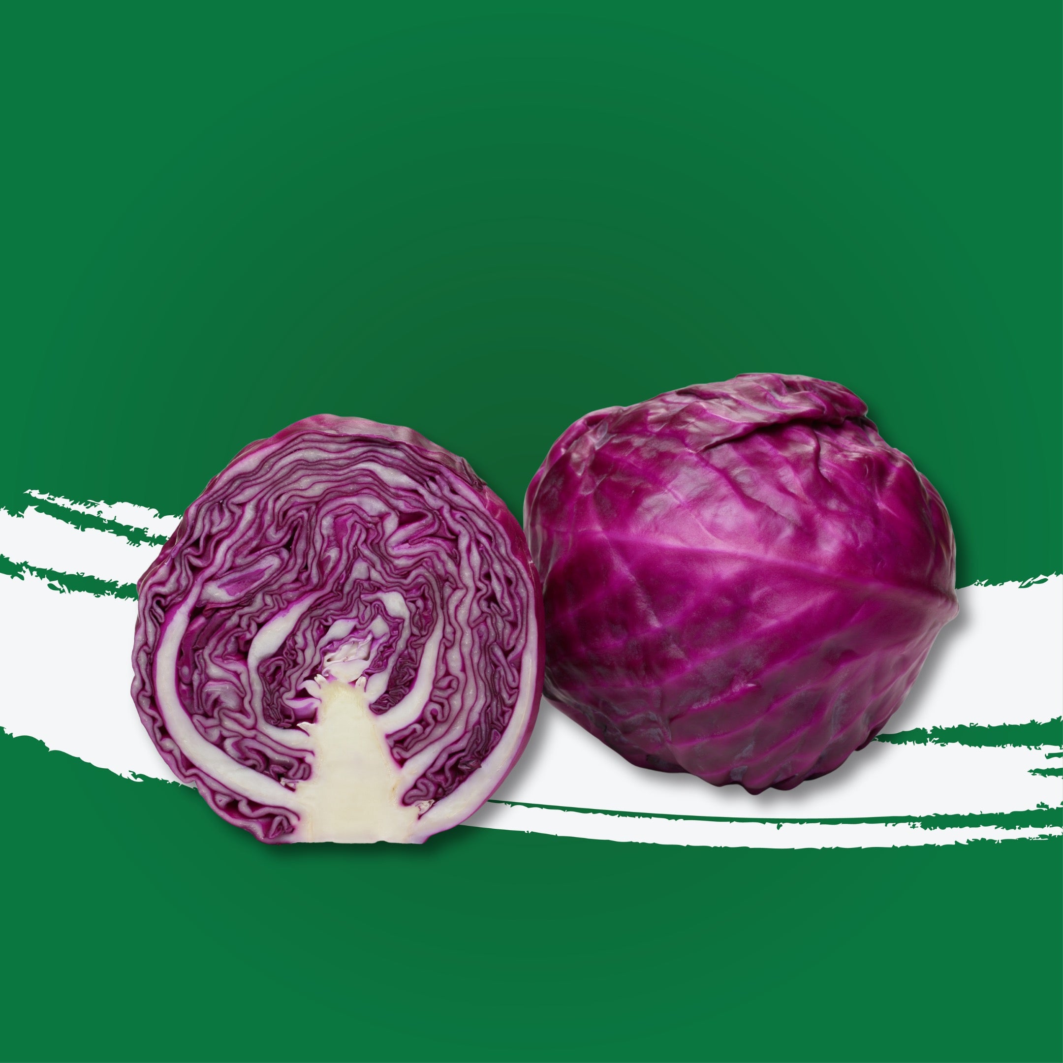 Cabbage Red Me
