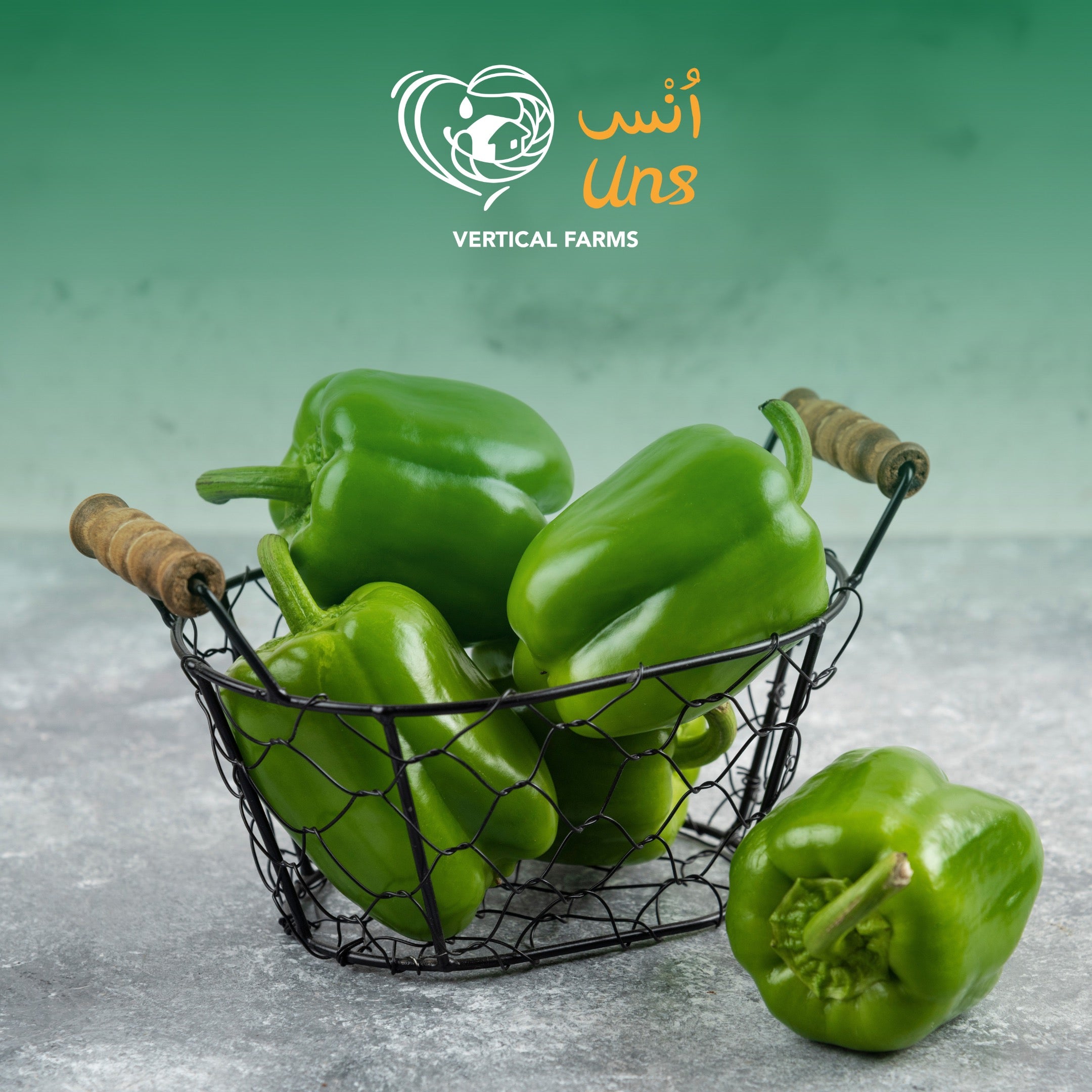 Capsicum Green Me
