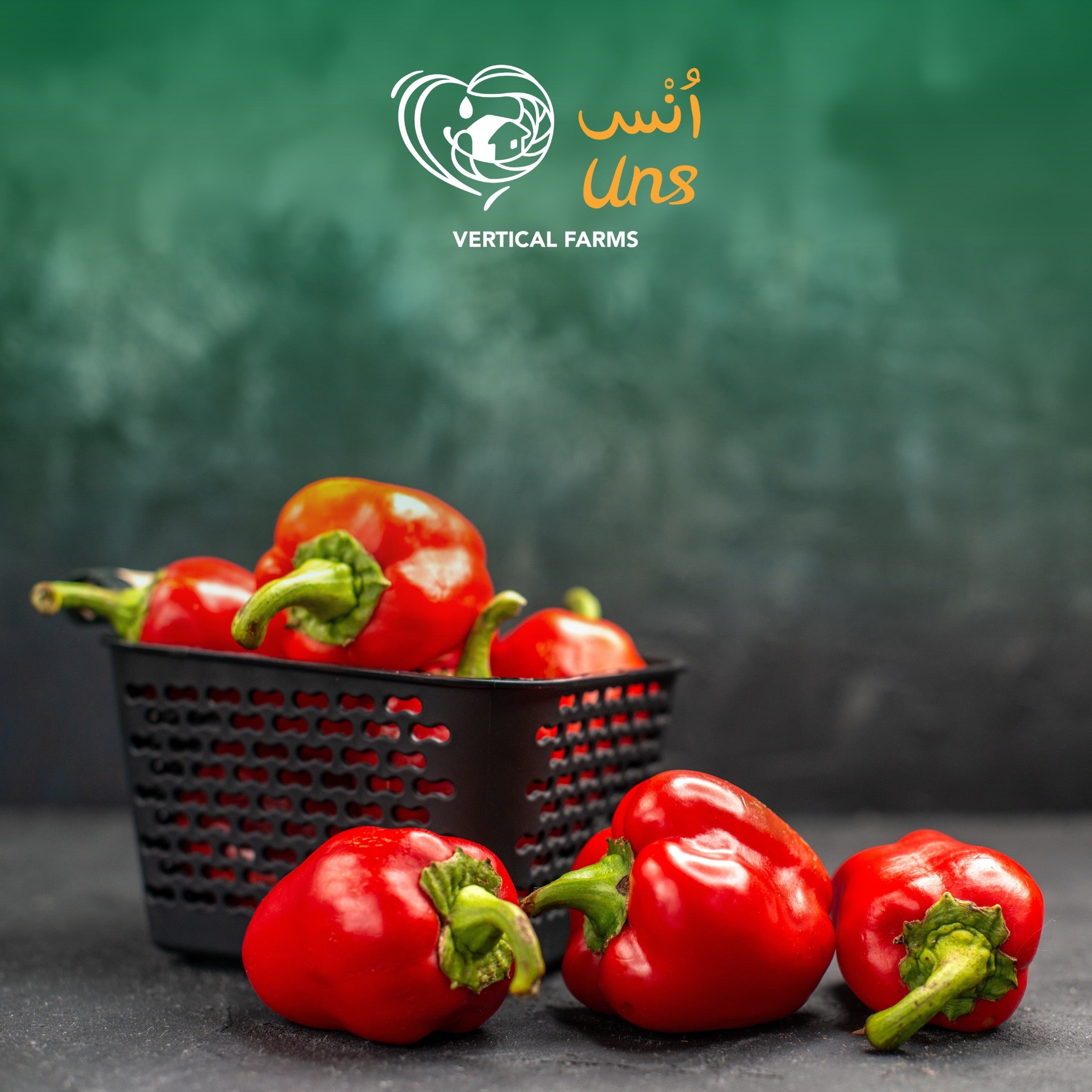 Capsicum Red UAE