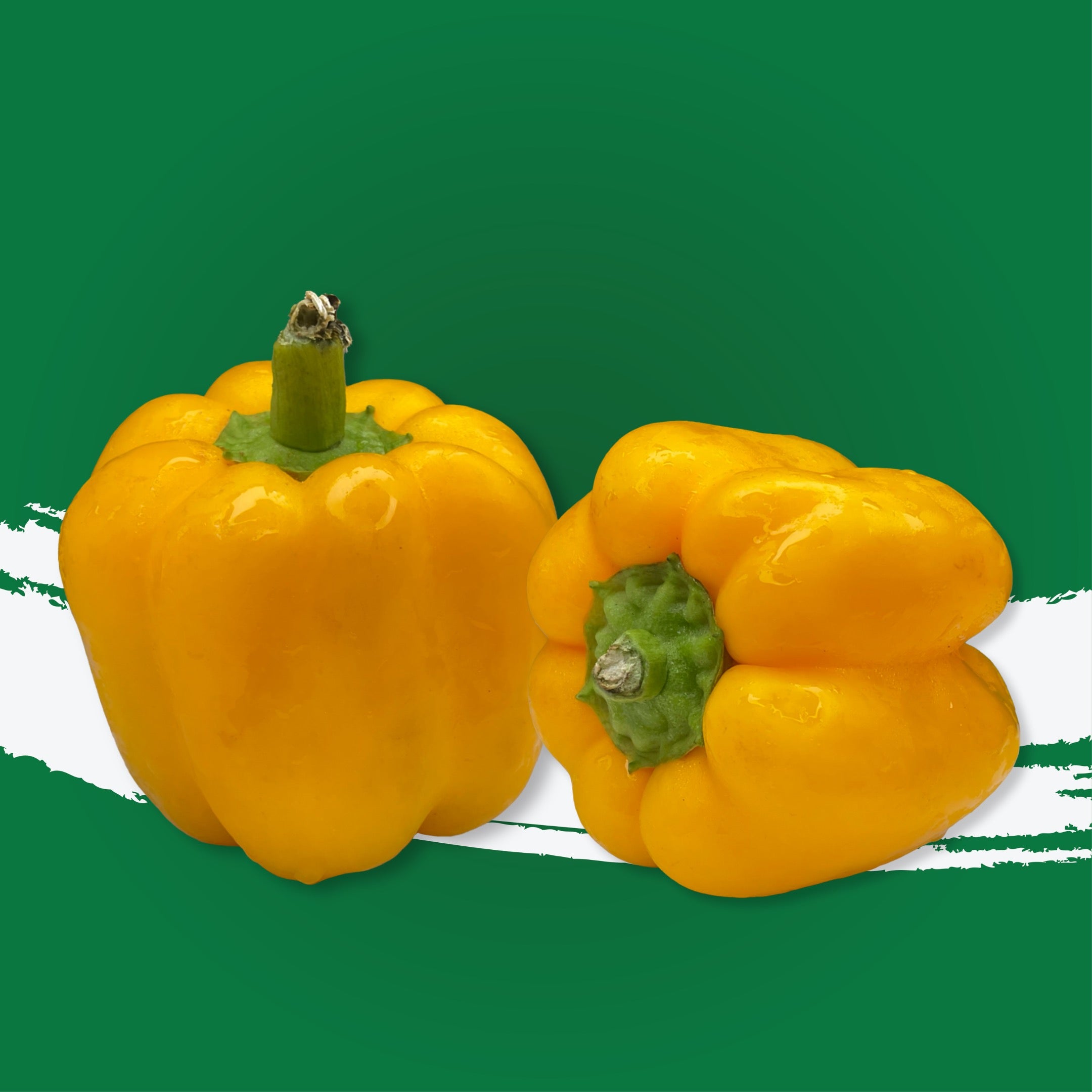 Capsicum Yellow UAE
