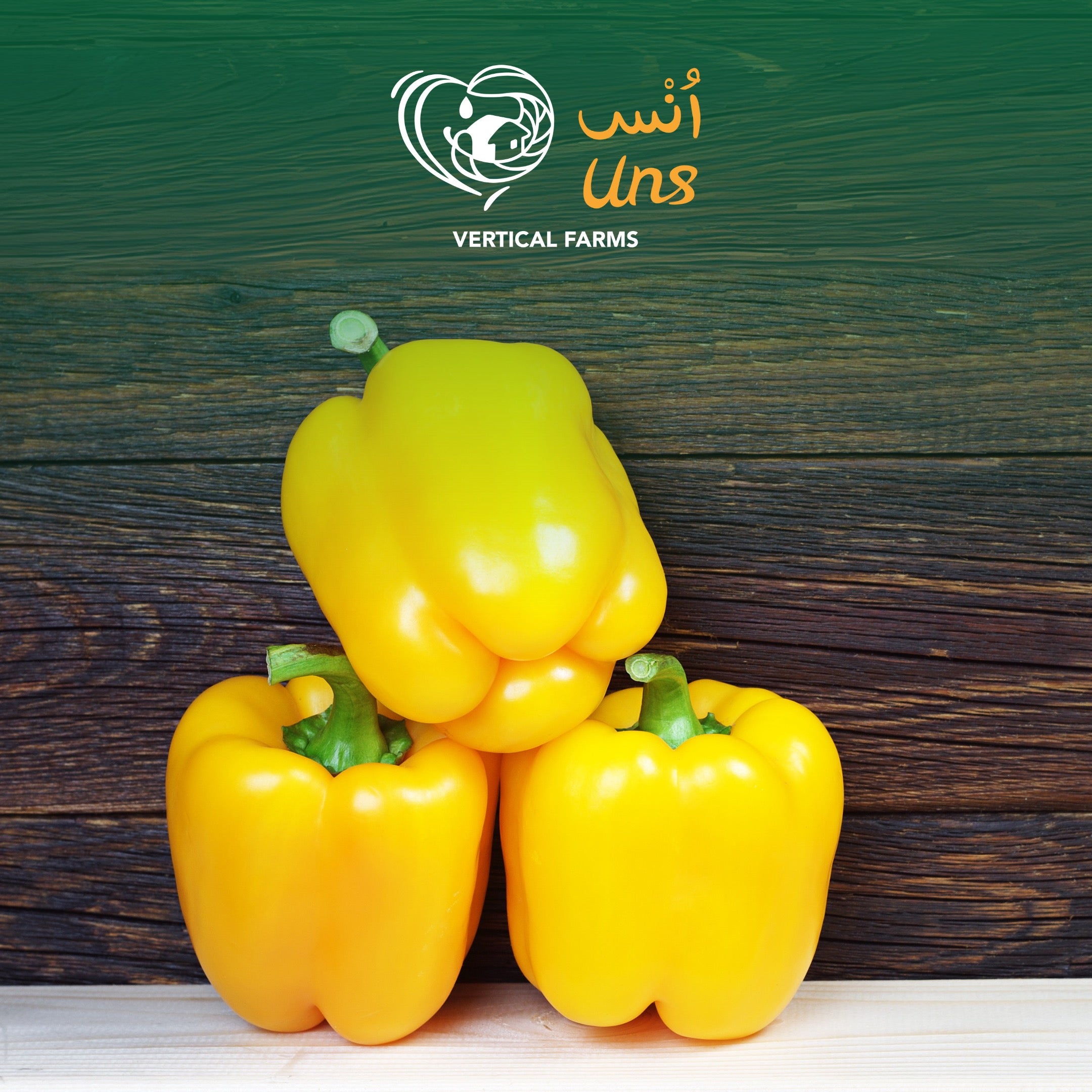 Capsicum Yellow UAE