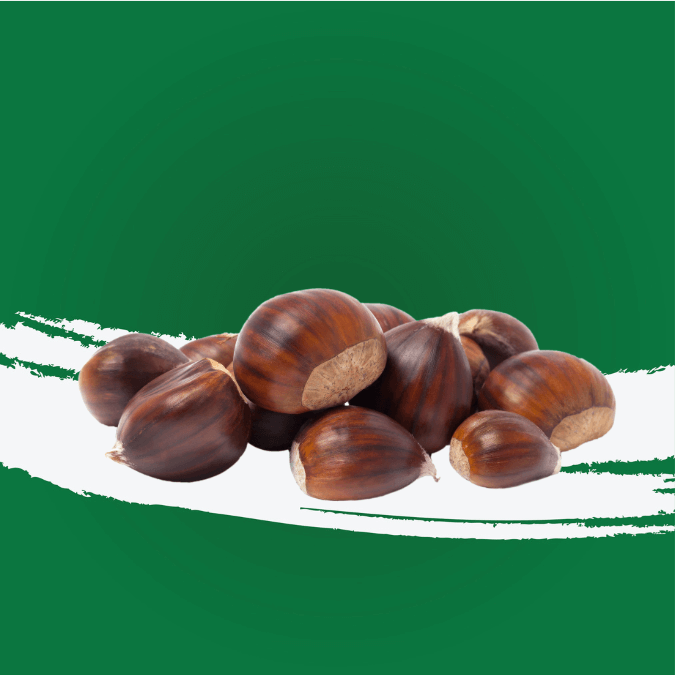 Chestnut Lebanon, premium Lebanese chestnuts showcasing their rich texture and colors, perfect for cooking and snacking.