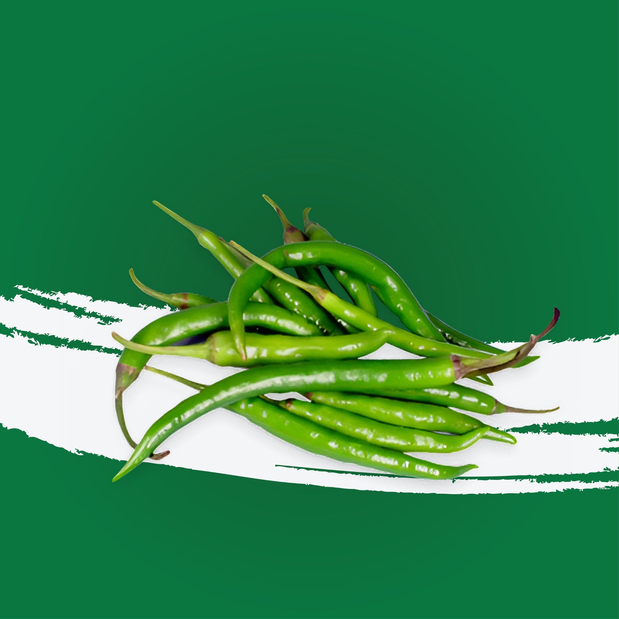 Chilly Green India
