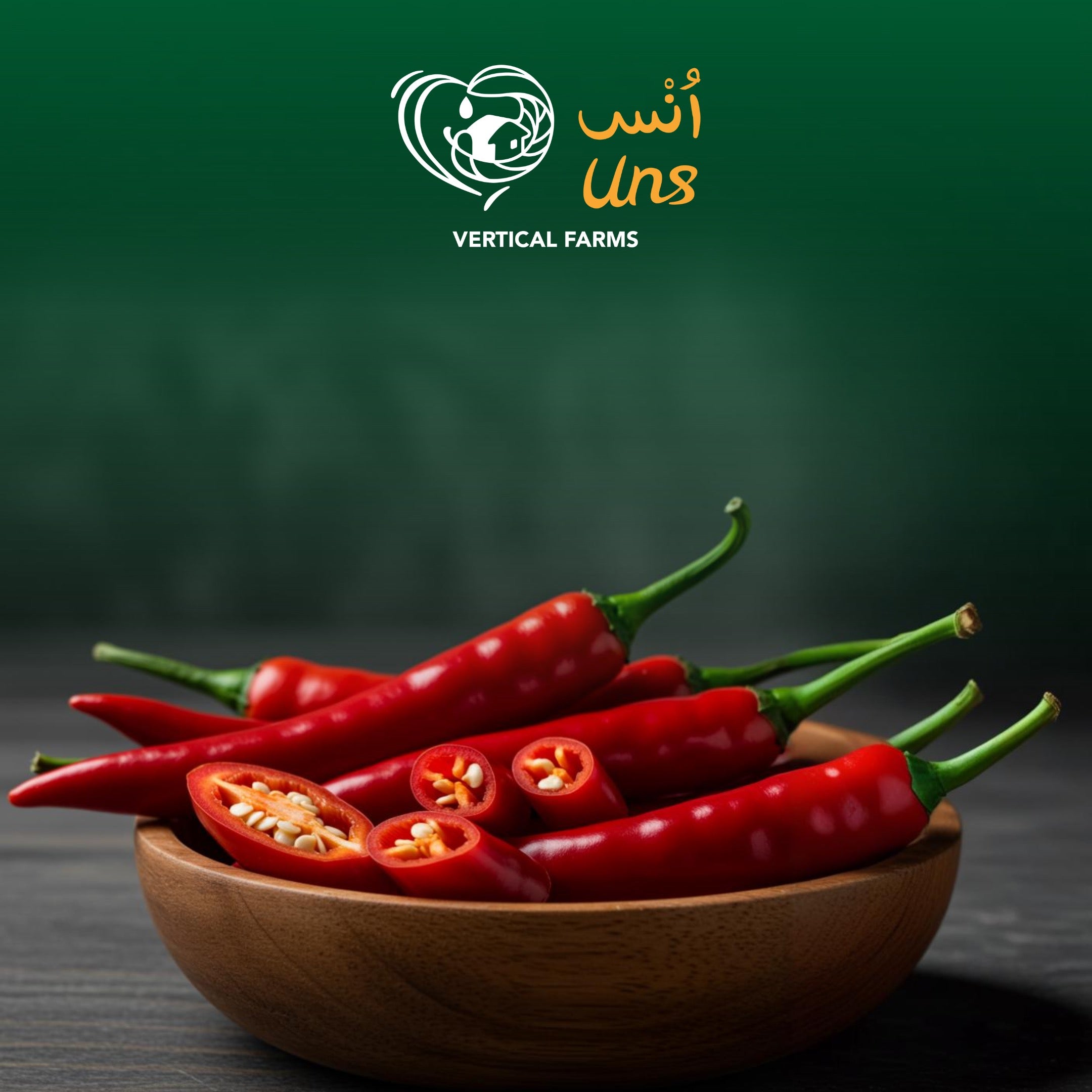 Chilly Red Long UAE