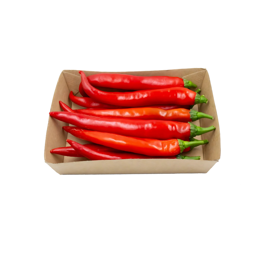 Chilly Red Long UAE