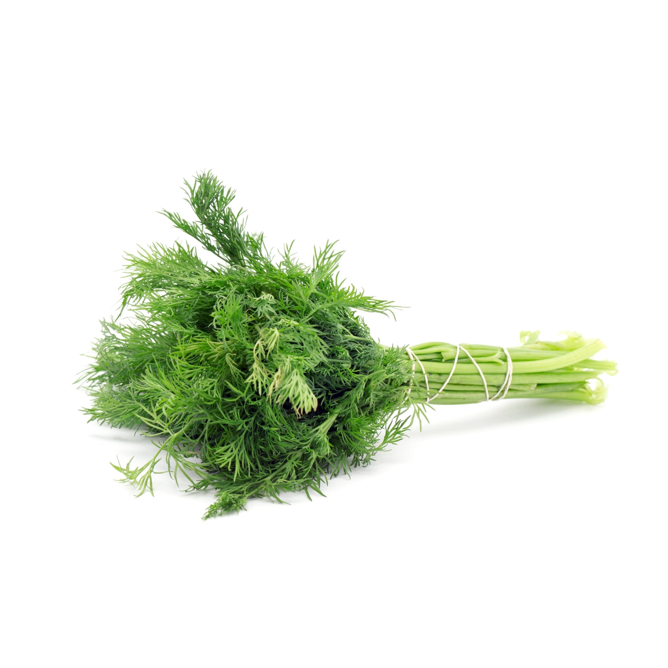 Dill Leaves UAE