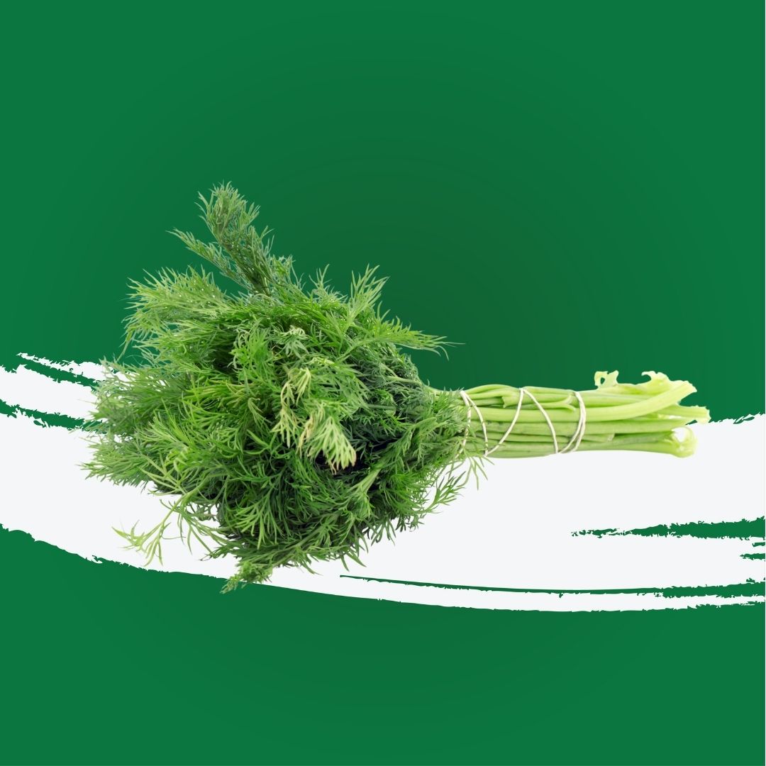 Dill Leaves UAE