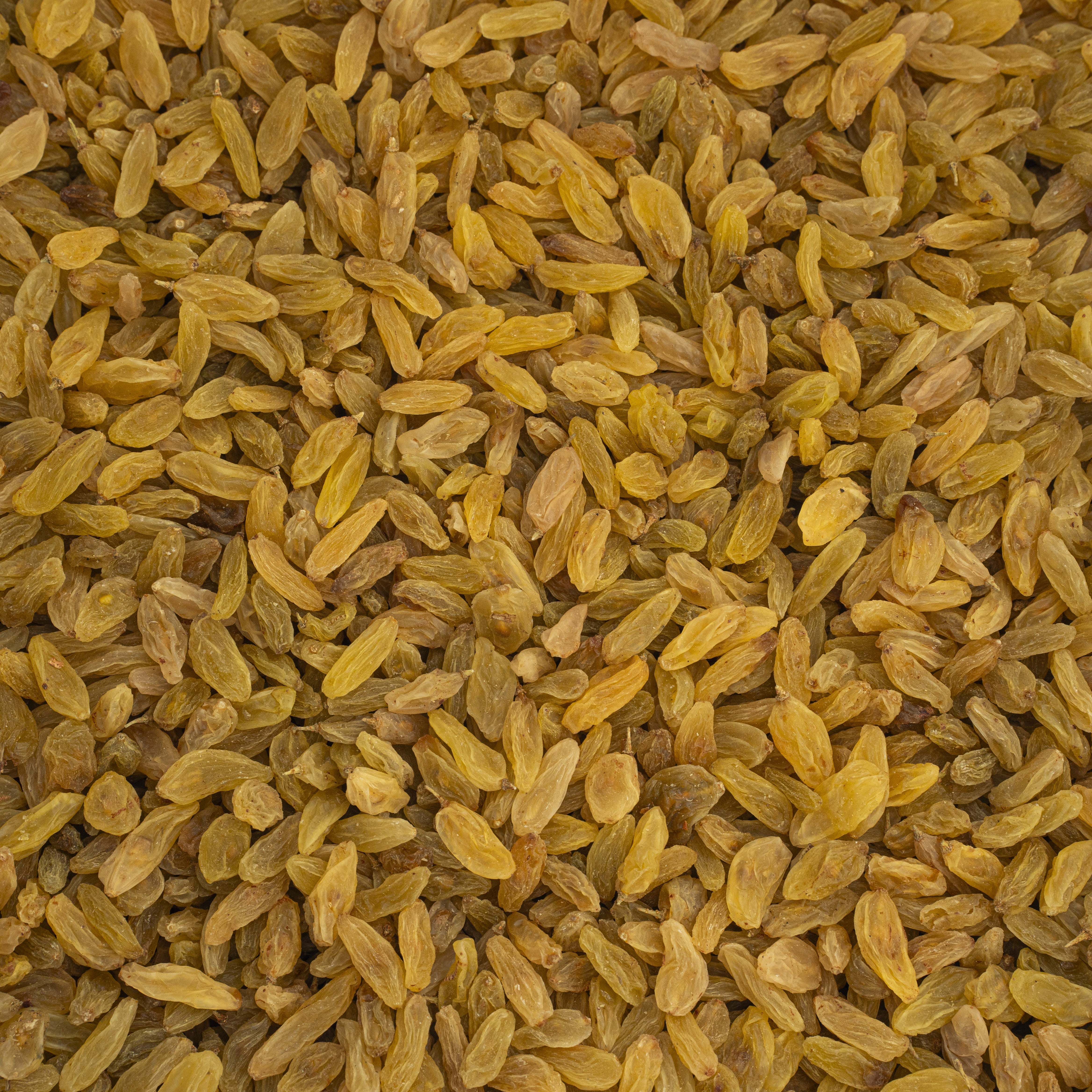 Golden Kashmar Raisins 100g
