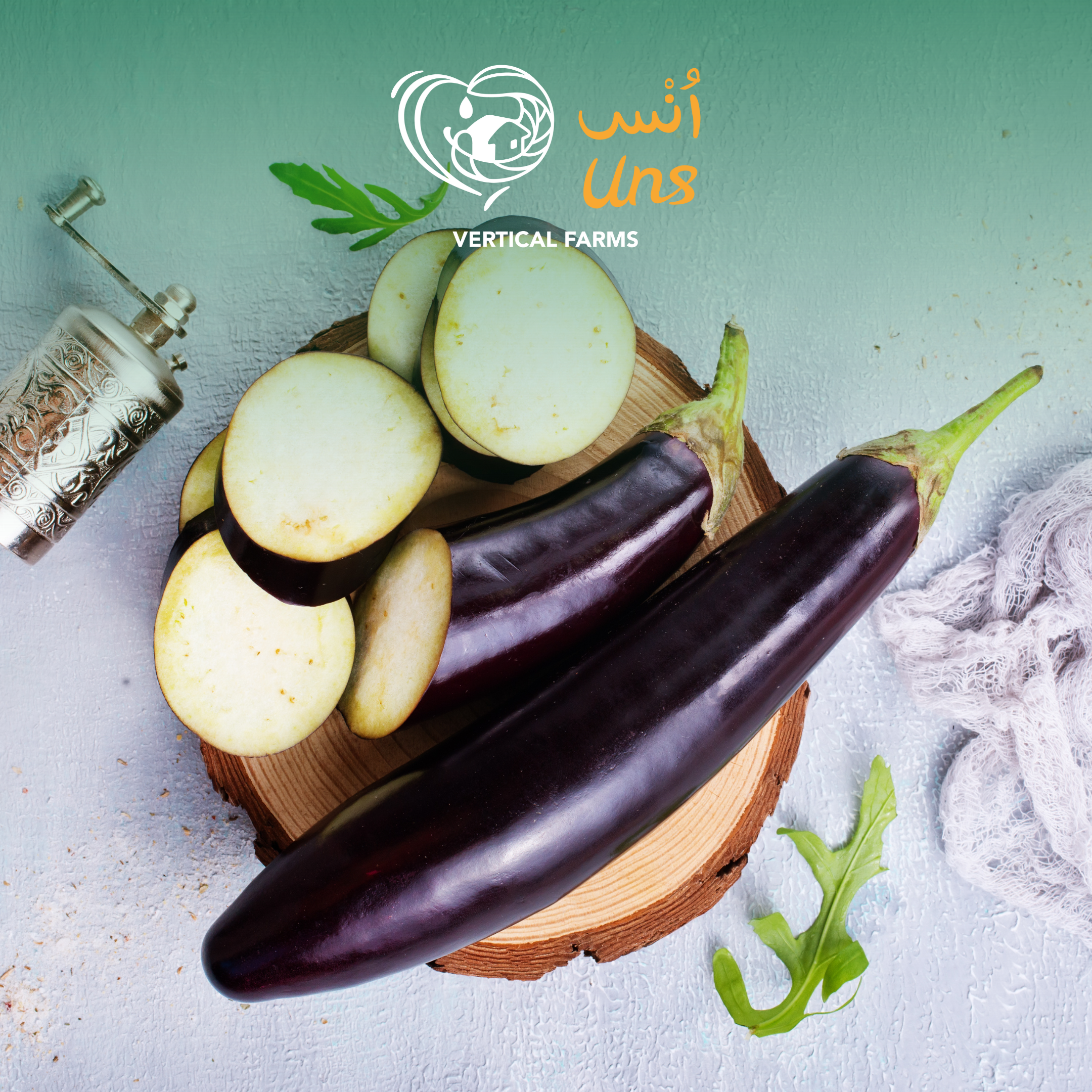 Eggplant Seedless Uae
