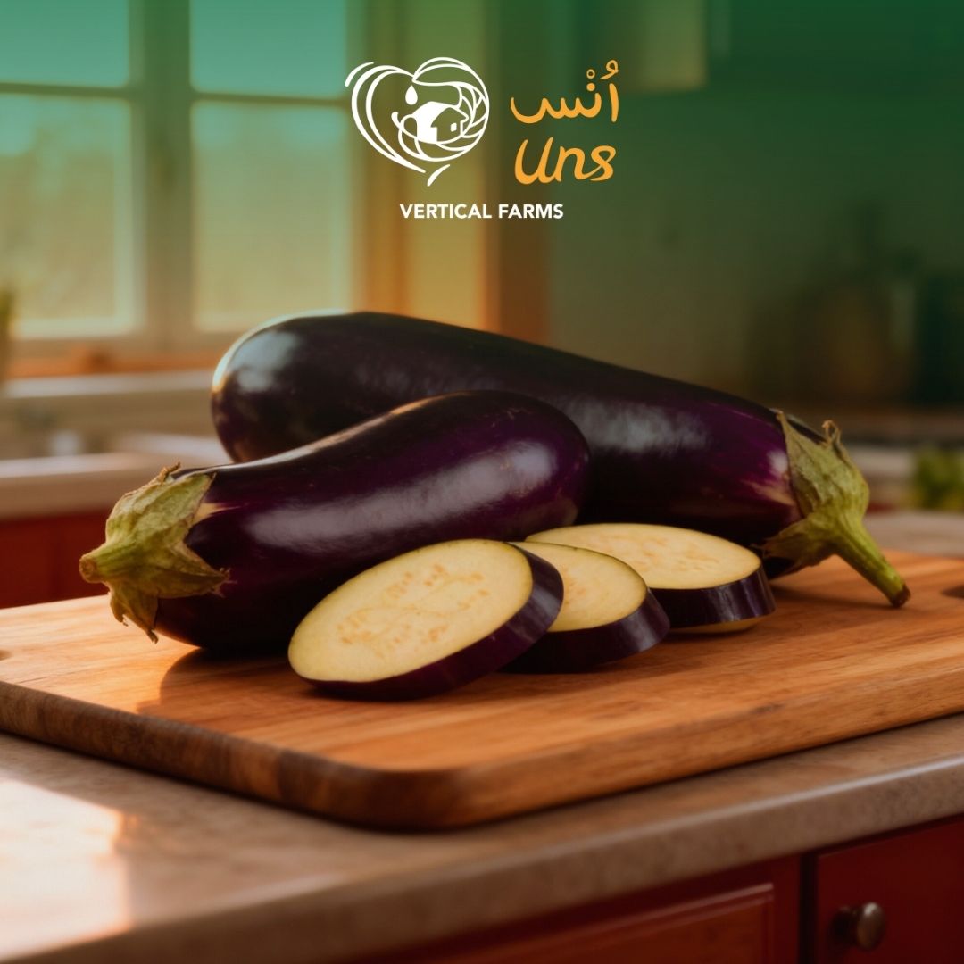 Eggplant Seedless Holland