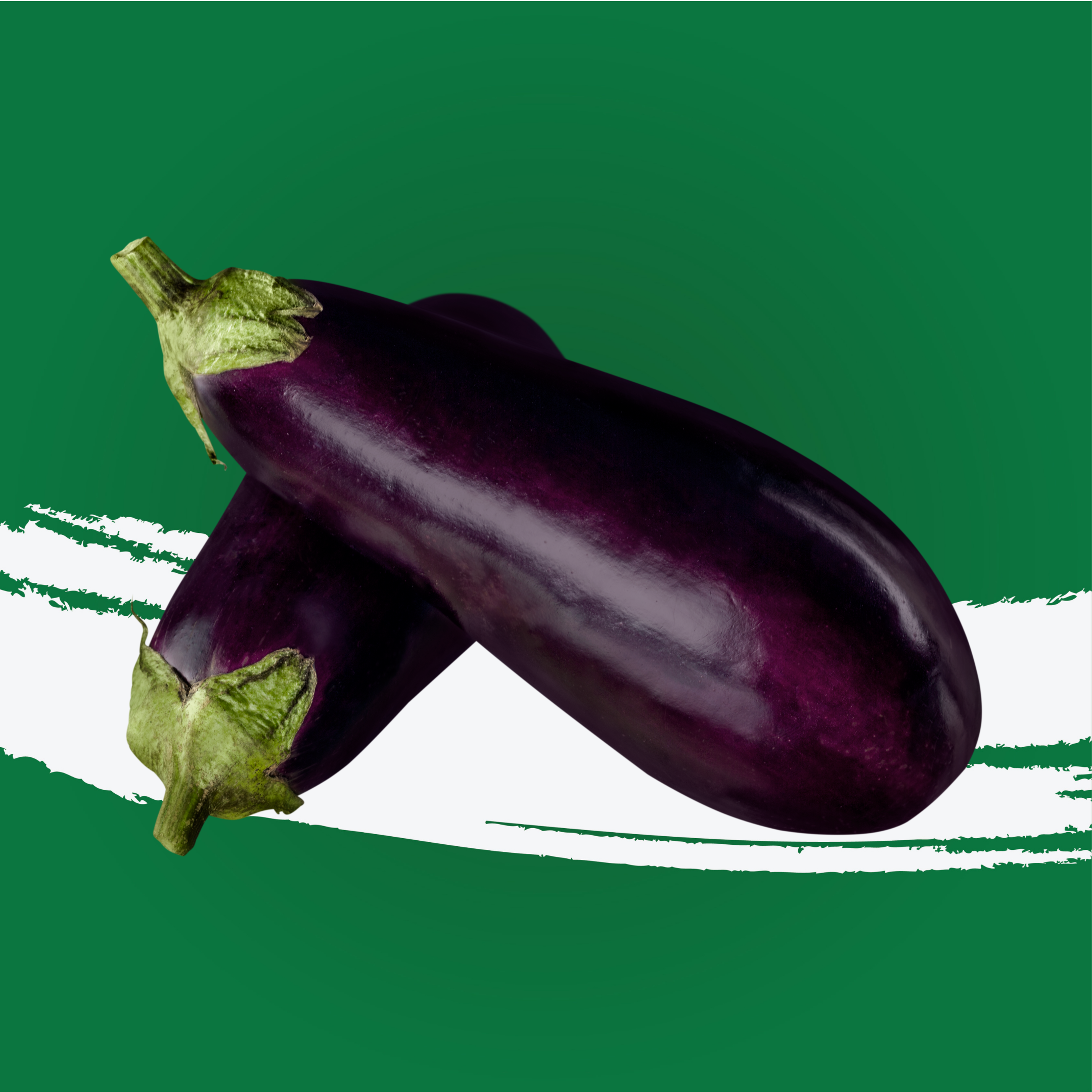 Eggplant Green House