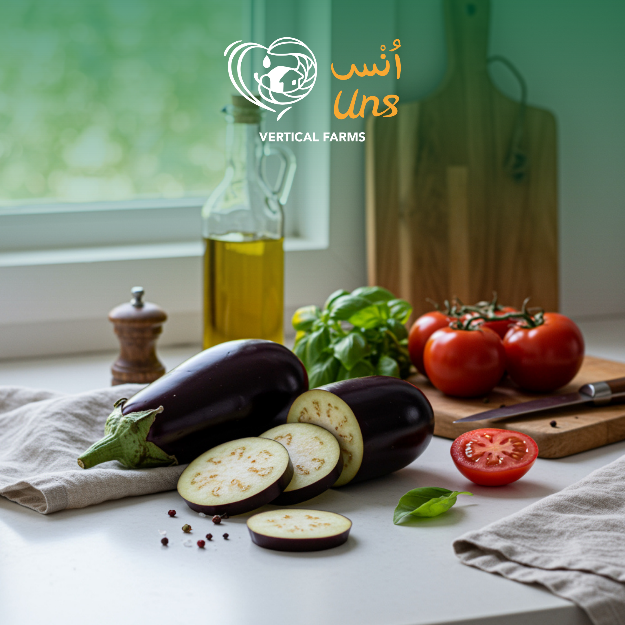 Eggplant Green House