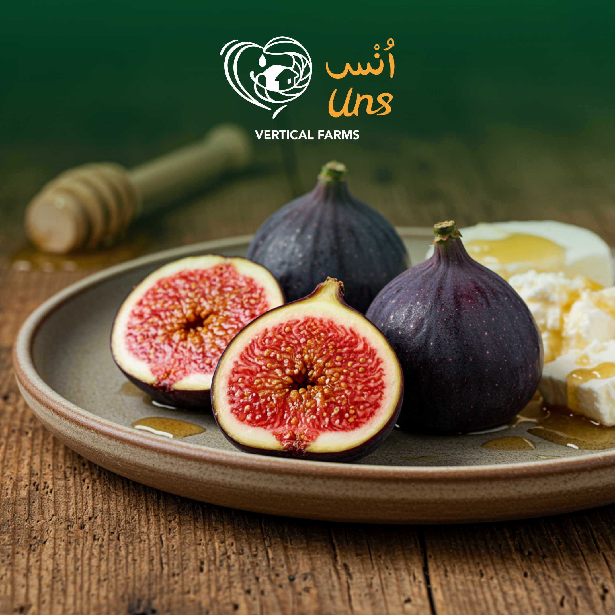Figs Me