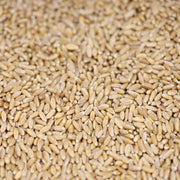 Organic Farro (Spelt) 100g