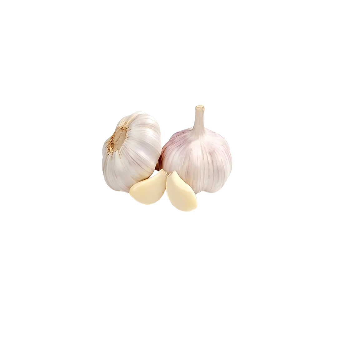 Garlic China