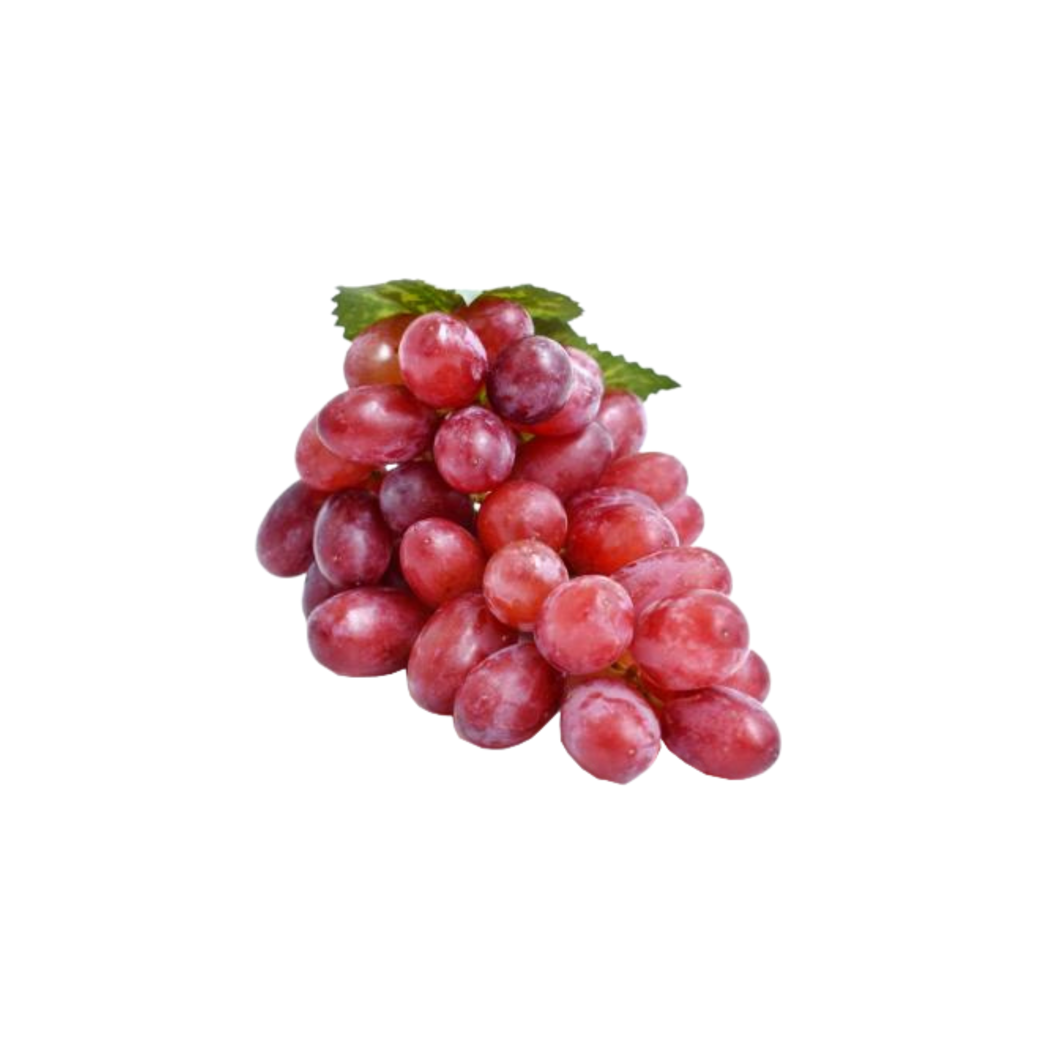 Grapes Red Pp India