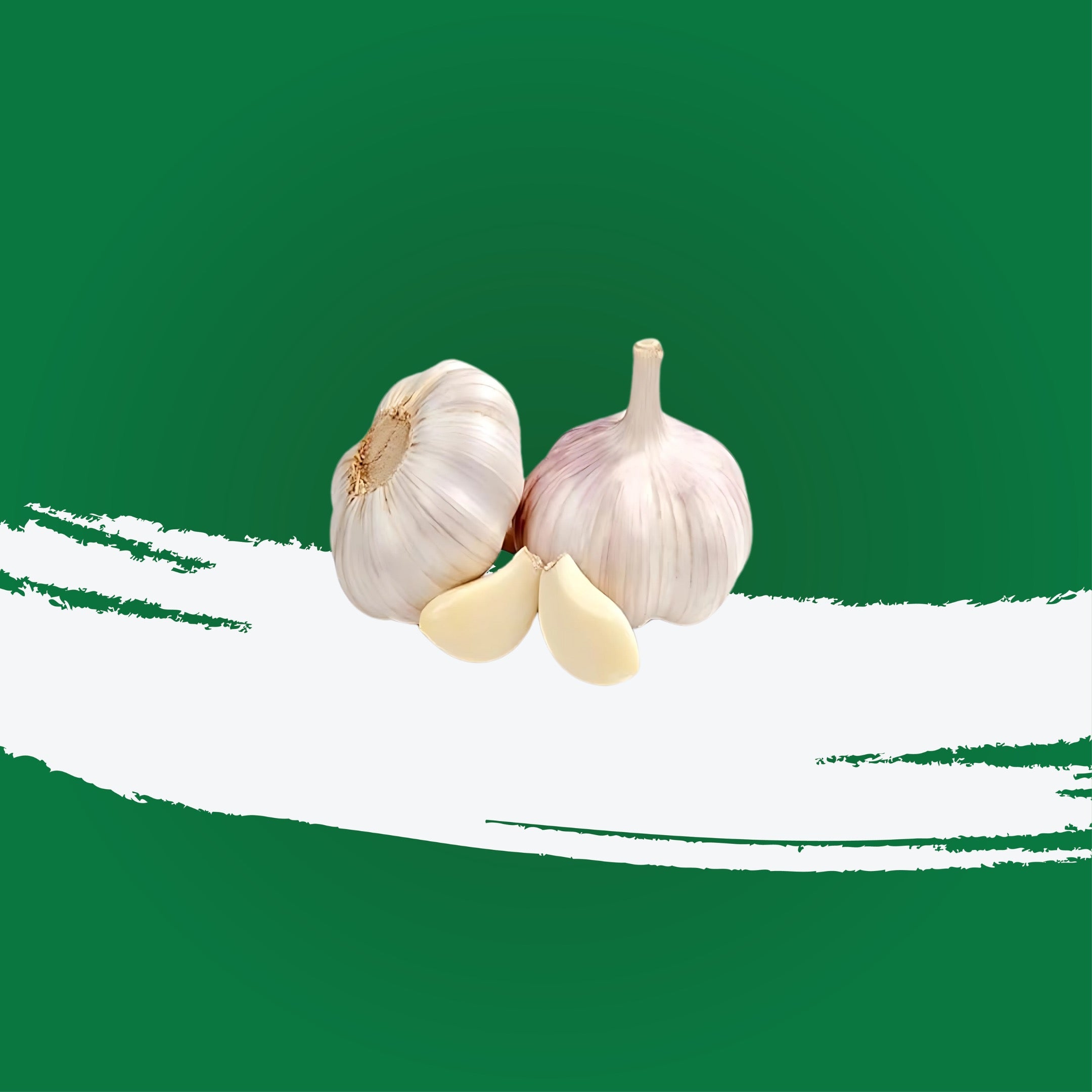 Garlic China