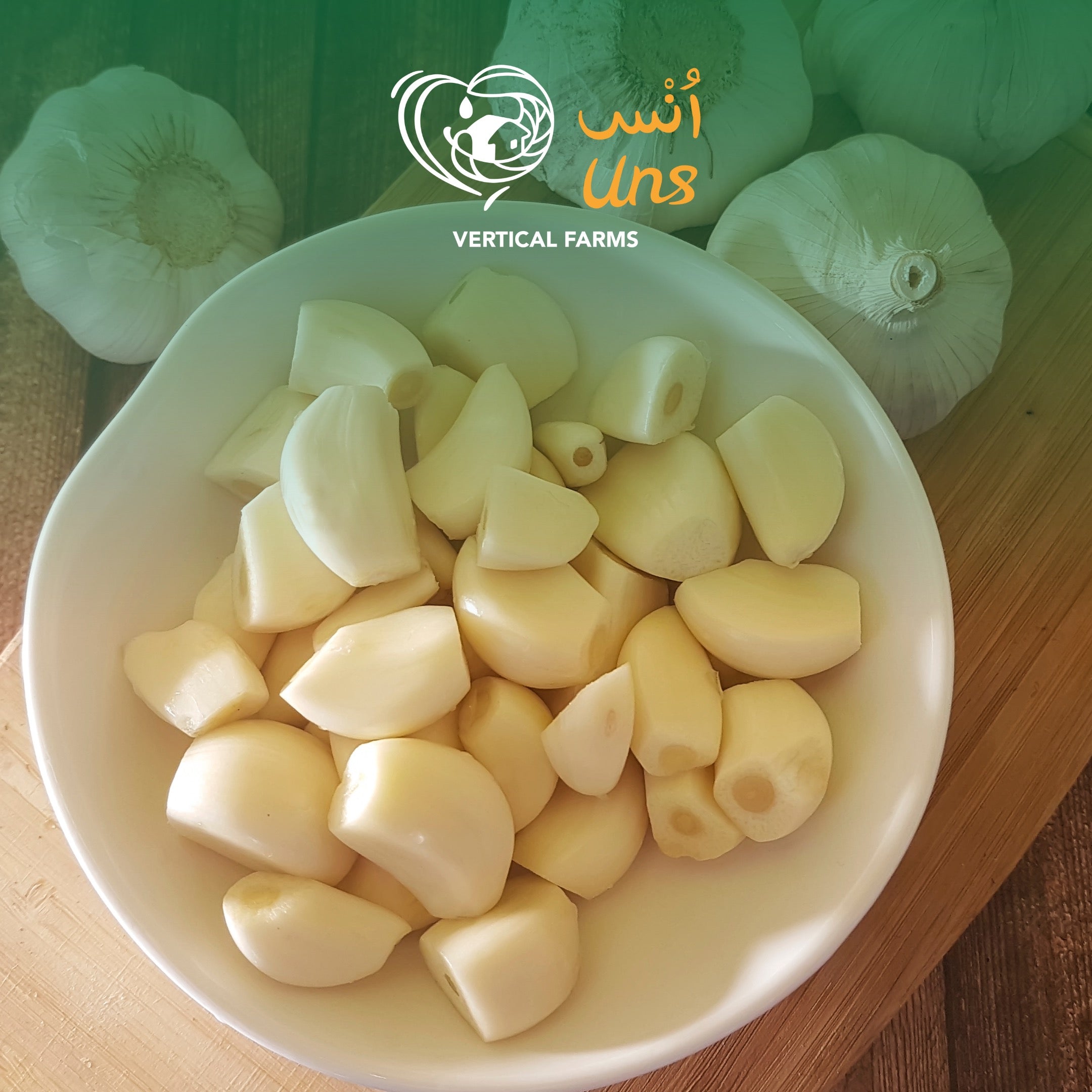 Garlic Peeled China