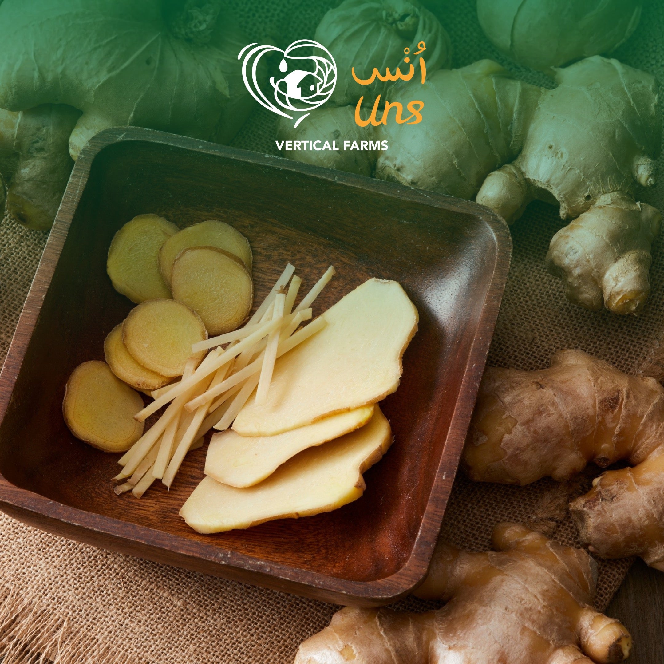 Ginger China