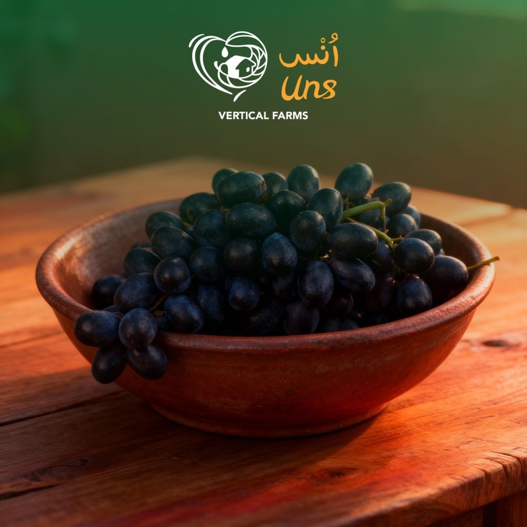 Grapes Black Tc India