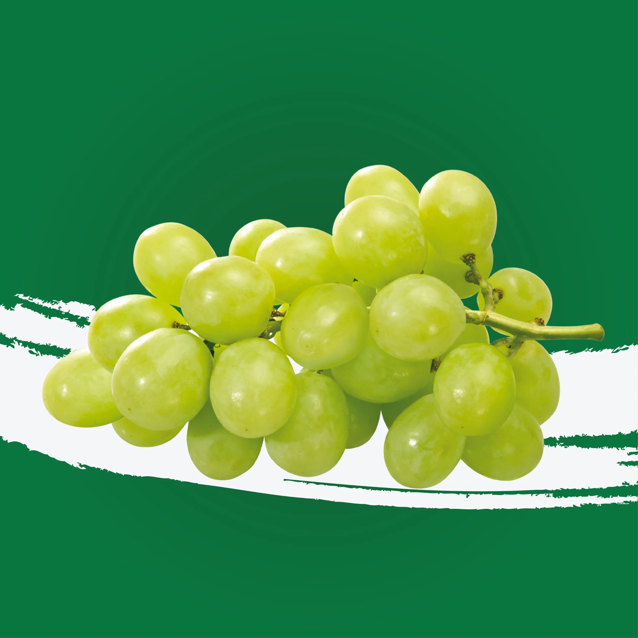 Grapes White Tc India