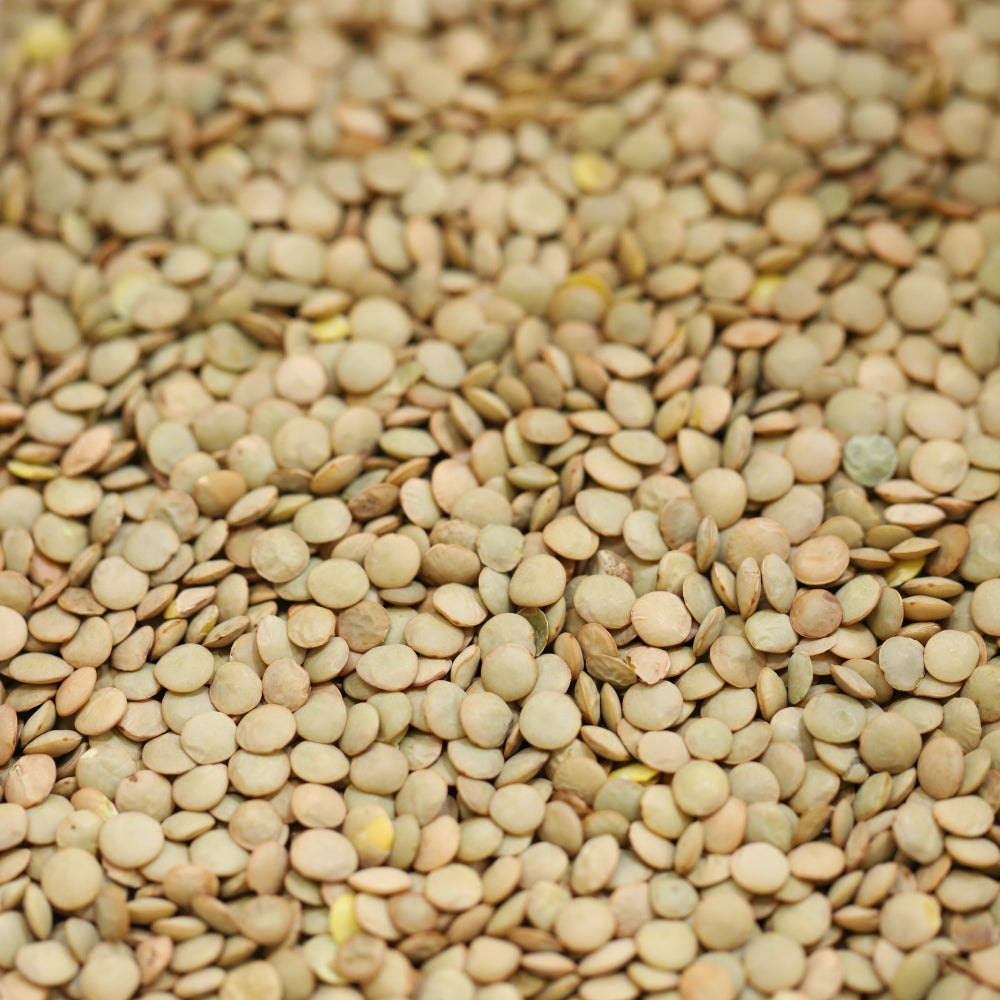 Organic Green Lentils 100g