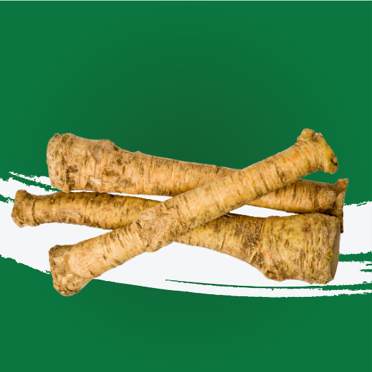 Horse Radish Holland