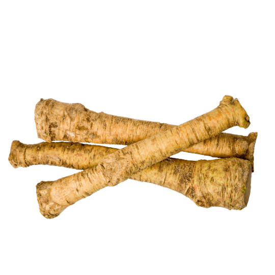 Horse Radish Holland