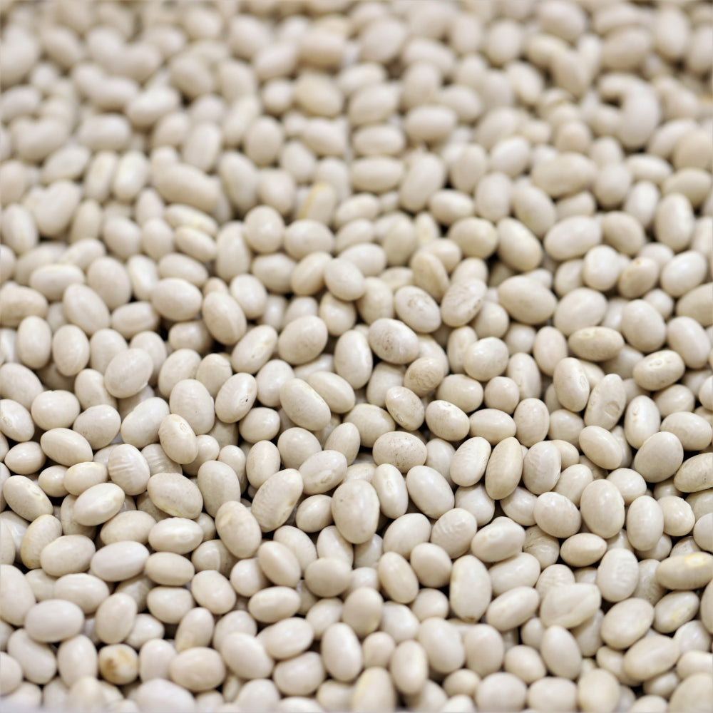 Australian Haricot Beans 100g