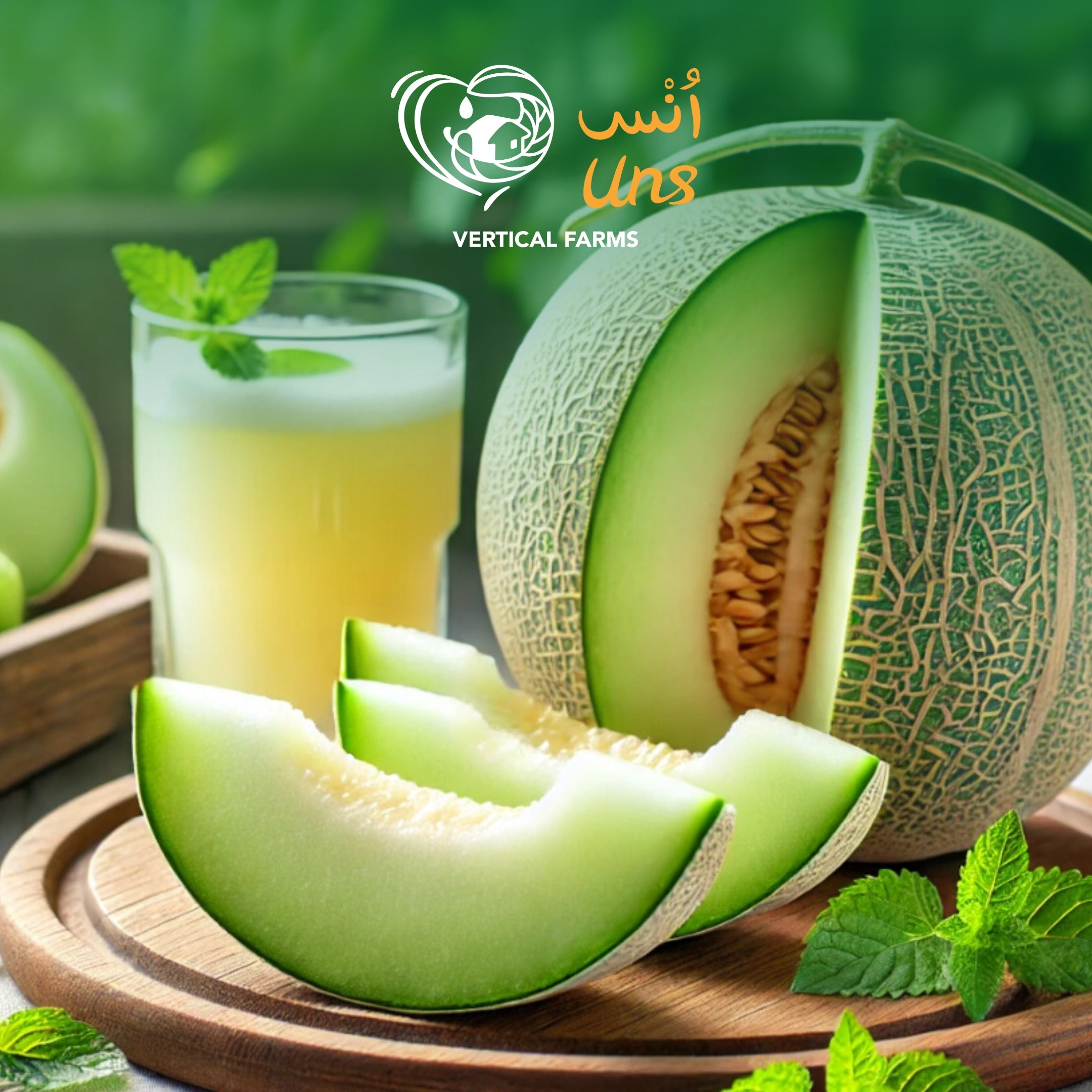Honeydew Melon Brazil