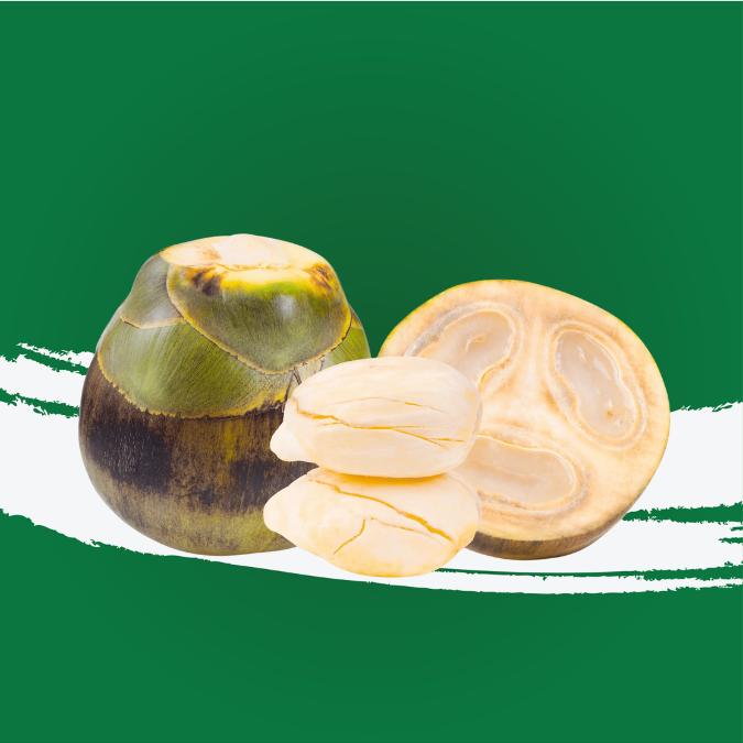 Ice Apple (Nongu) unpeeled