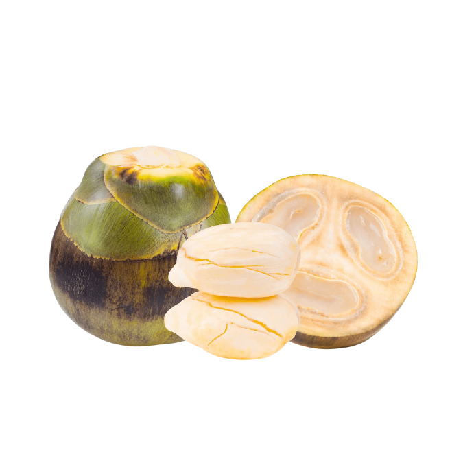 Ice Apple (Nongu) unpeeled