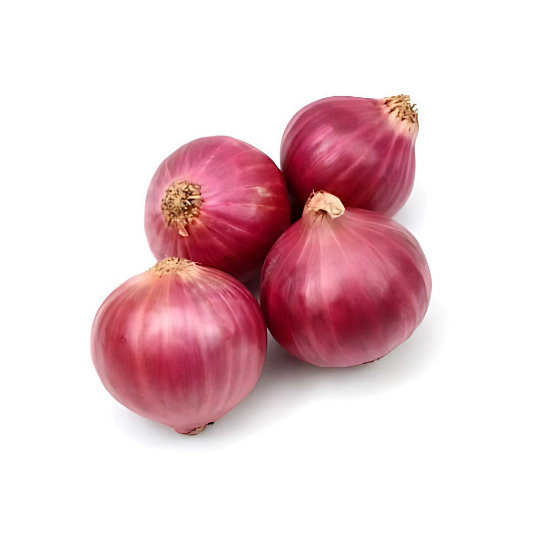 Onion Red India