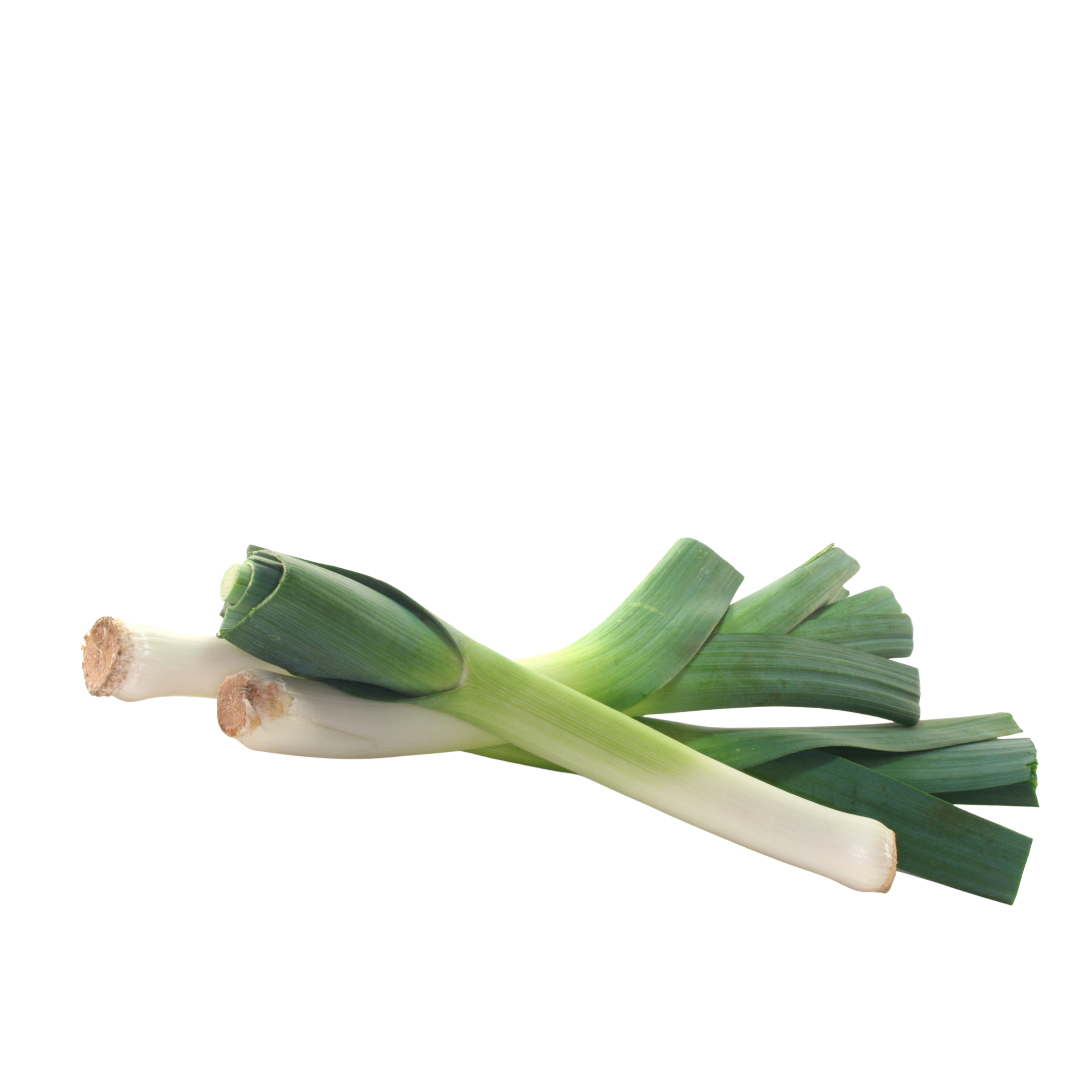 Leeks ME