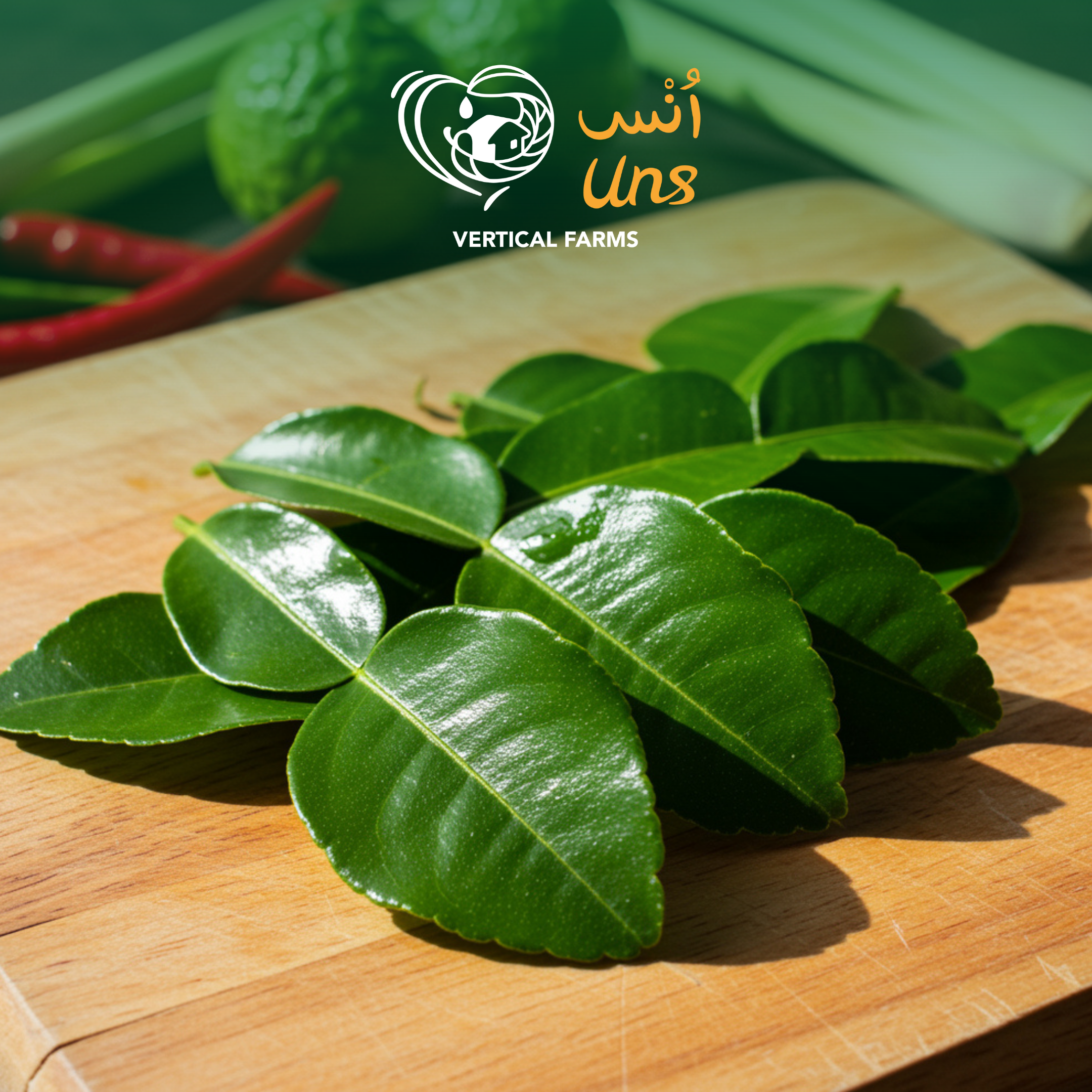 Lemon Leaves (Kaffir) Thailand