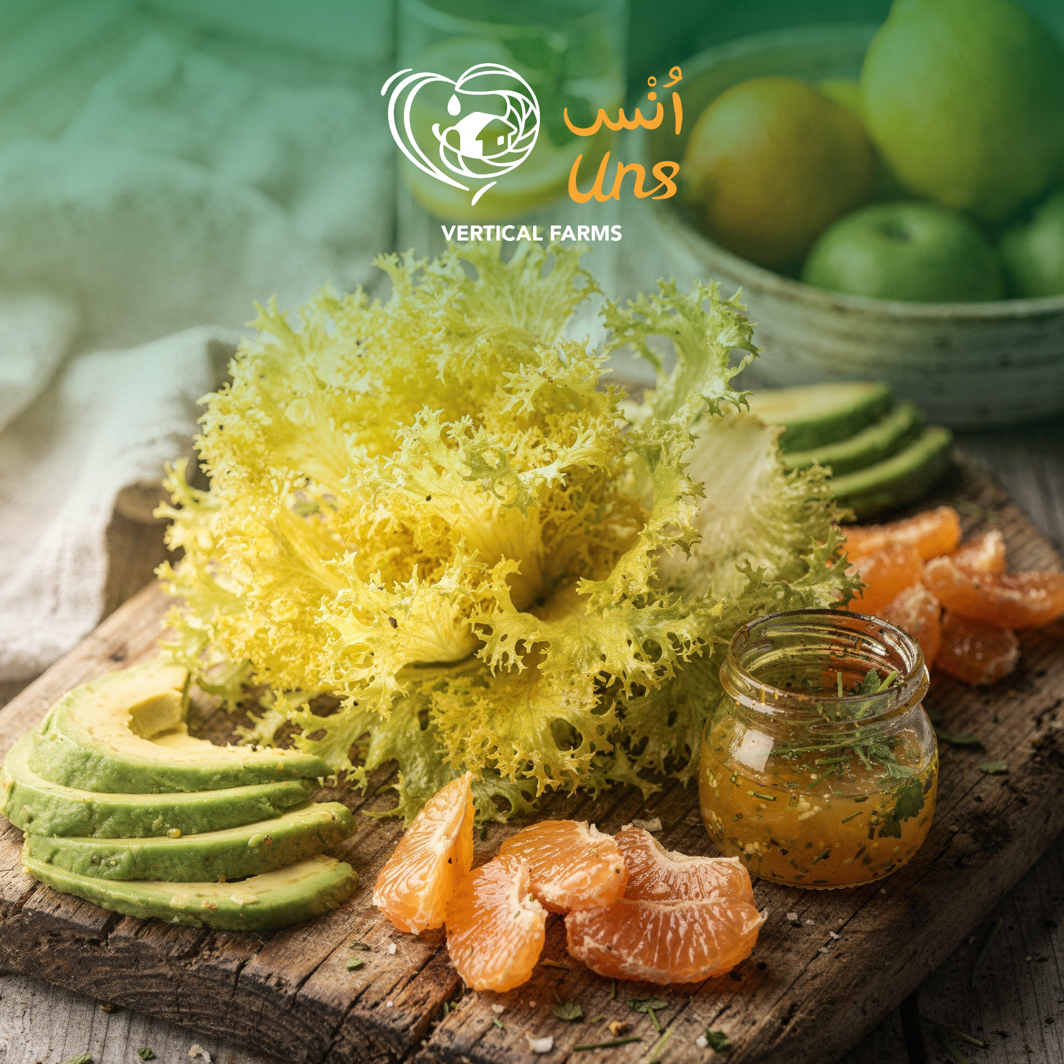 Lettuce Frisee Yellow Holland