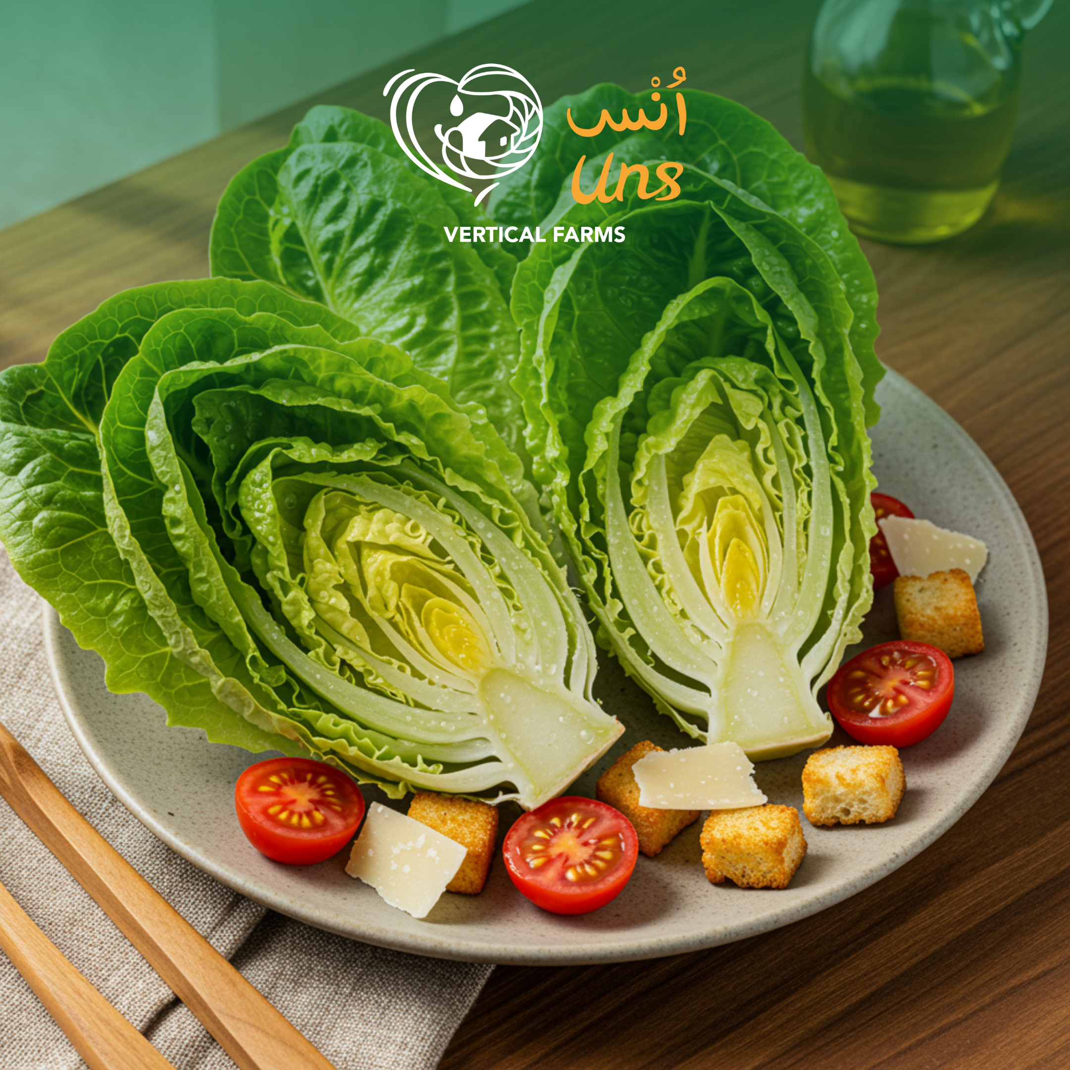 Lettuce Gem Baby Uae