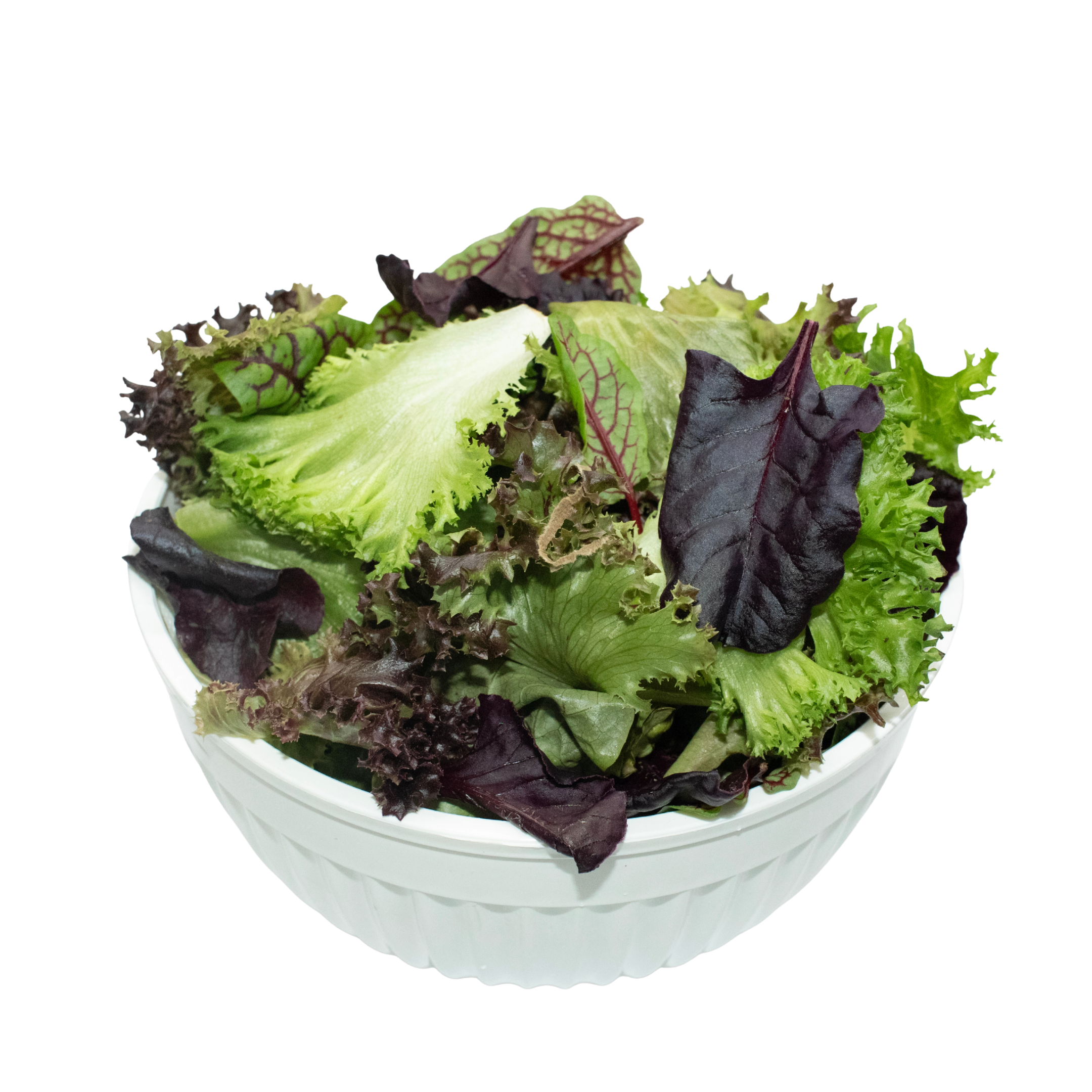 Lettuce Mesclun Holland