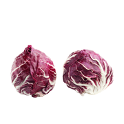 Lettuce Red Radicchio Holland