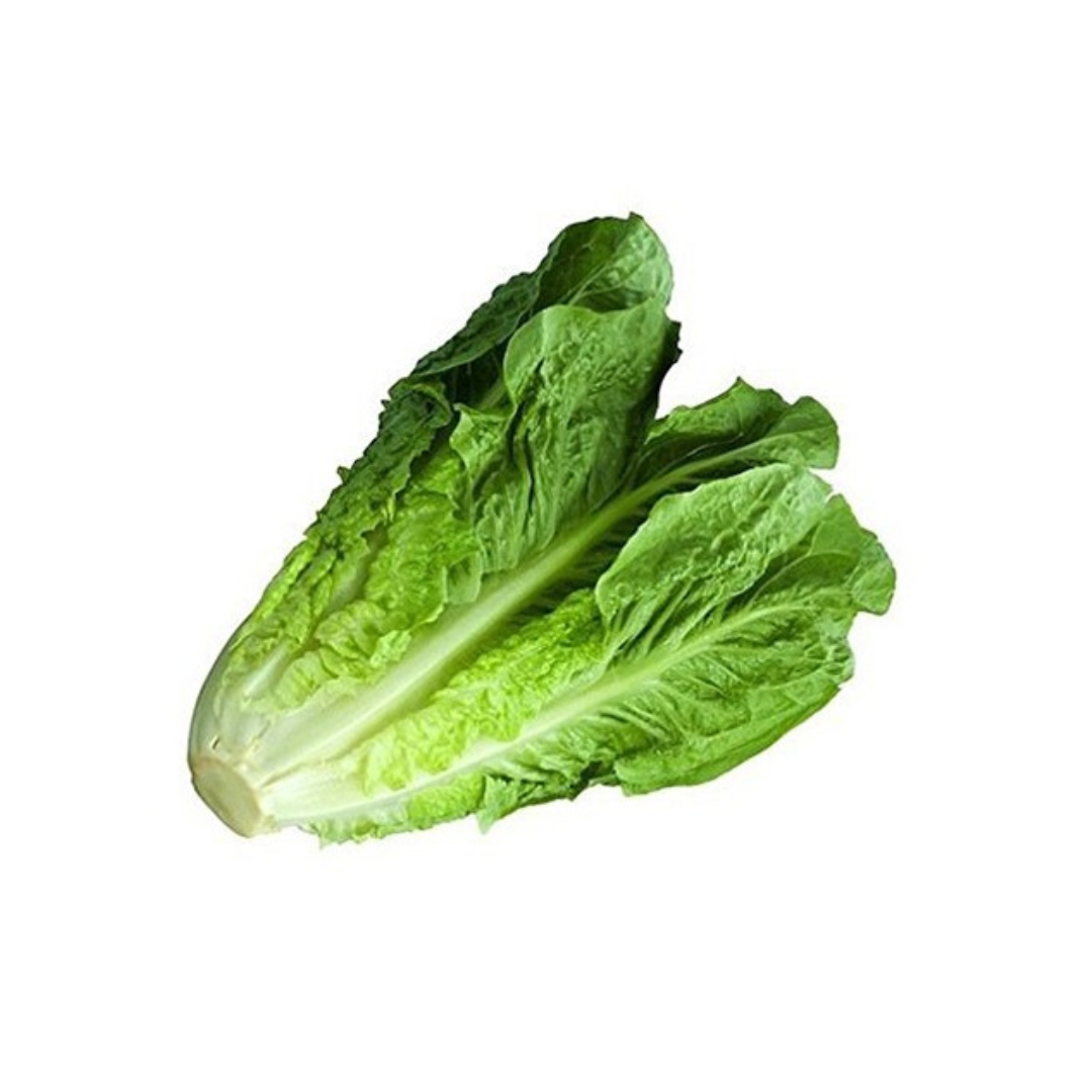 Lettuce Romaine Me