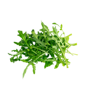 Lettuce Wild Rocket Holland