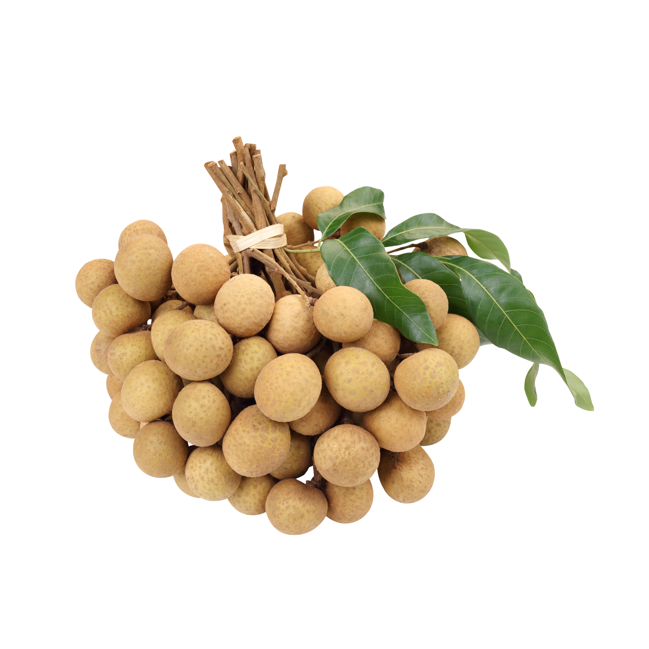 Longan Thailand