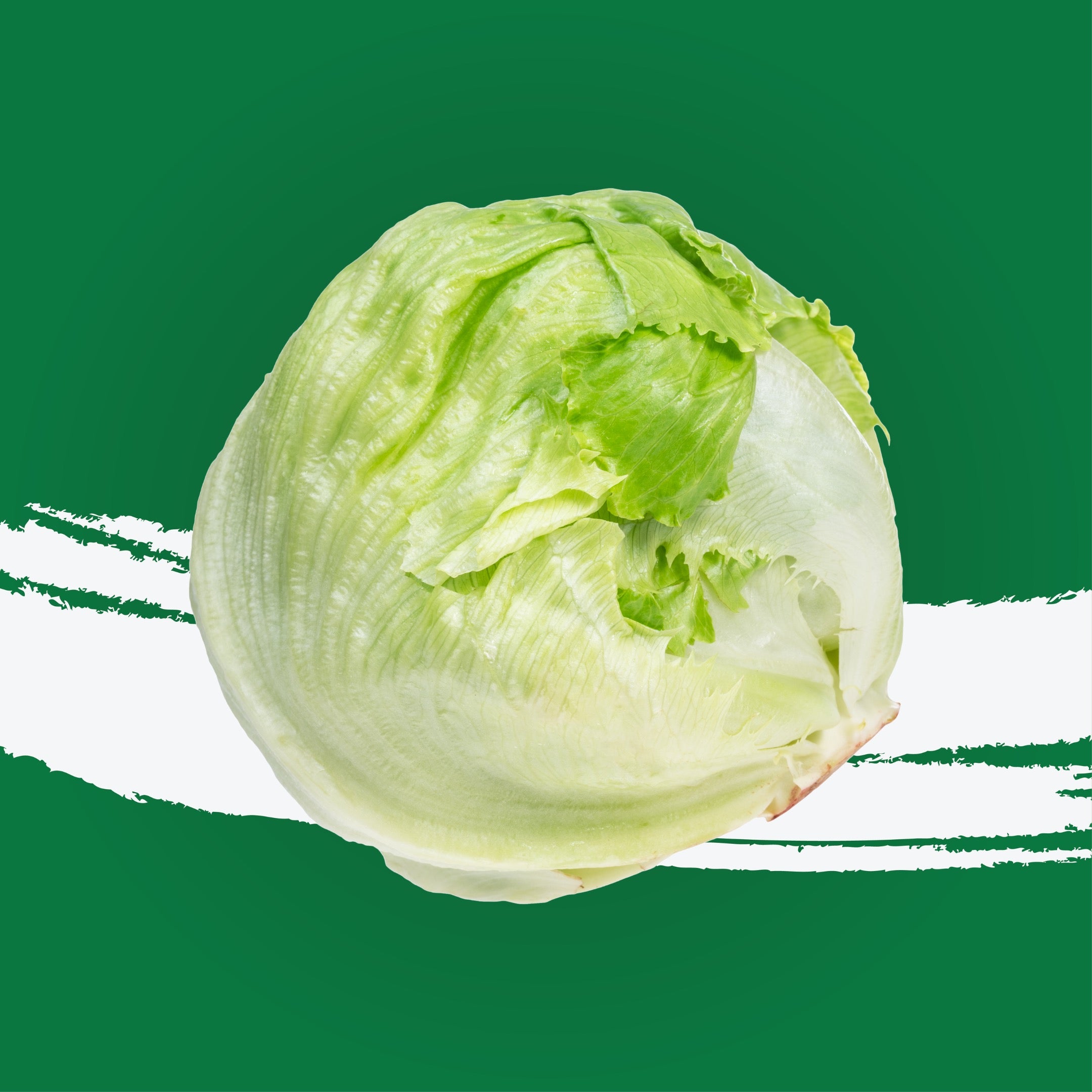 Lettuce Iceberg UAE