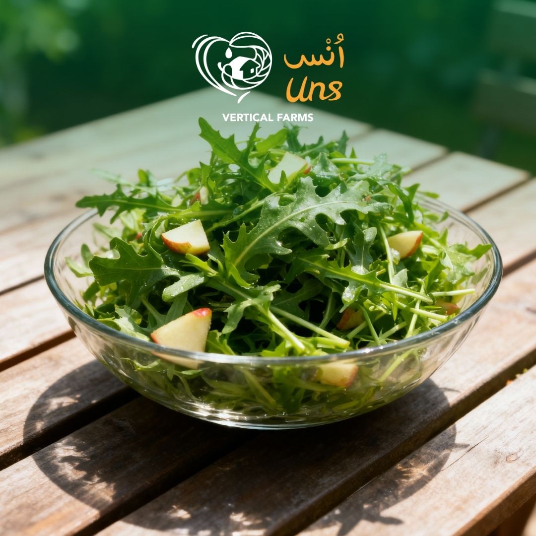 Lettuce Wild Rocket UAE