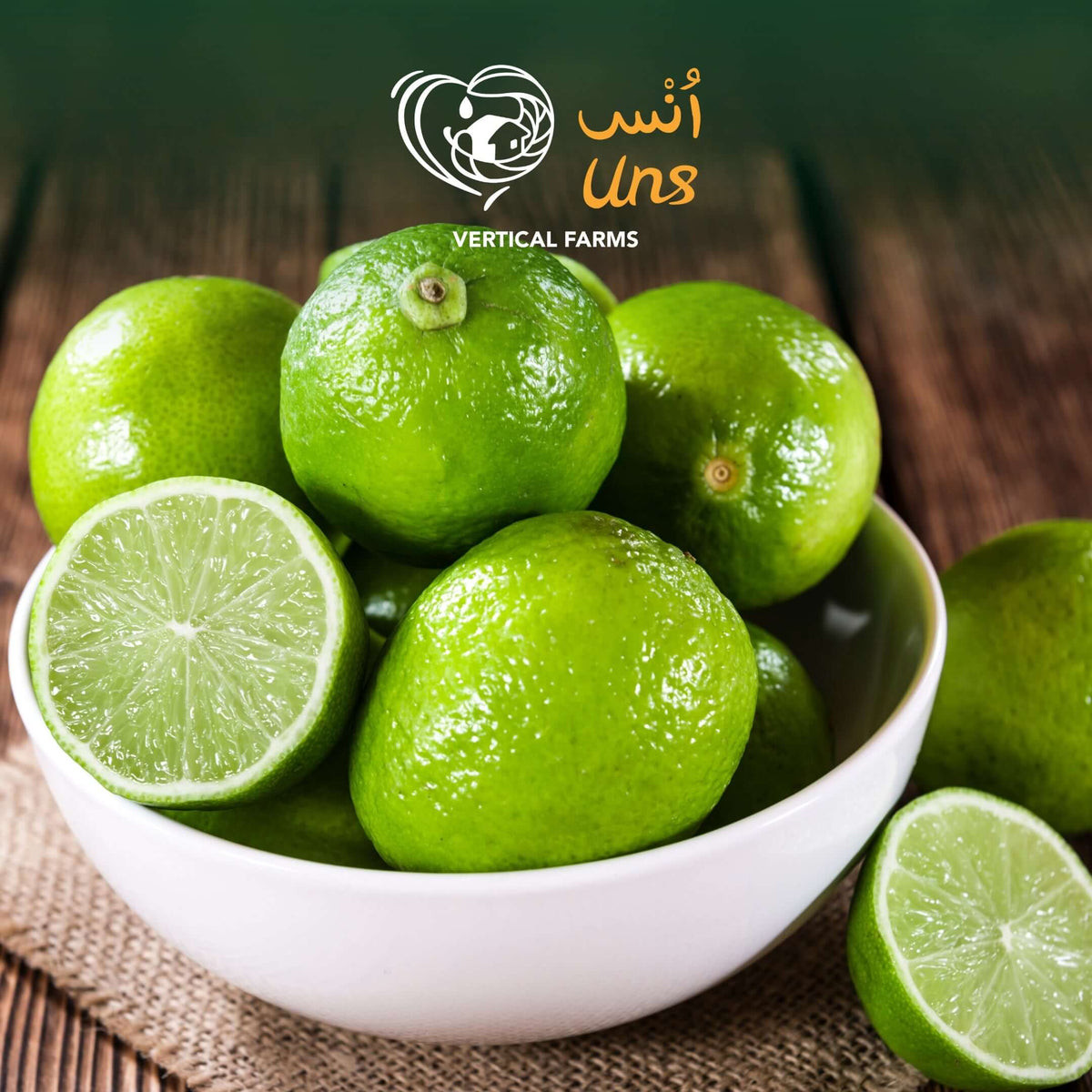 Lime Seed Less Seedless Green Lime Brazil | UNS Farms
