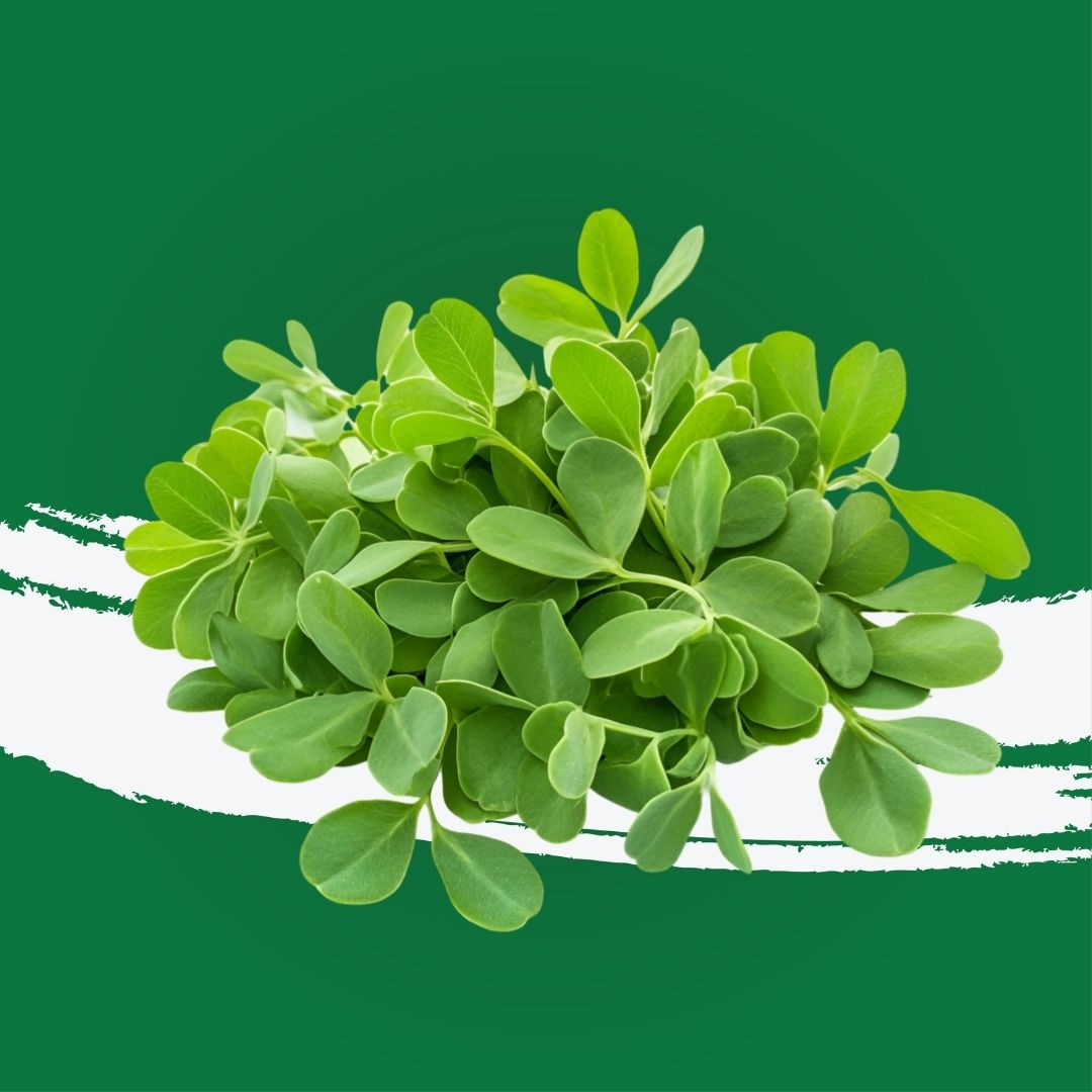 Pesticide-free fenugreek locally grown