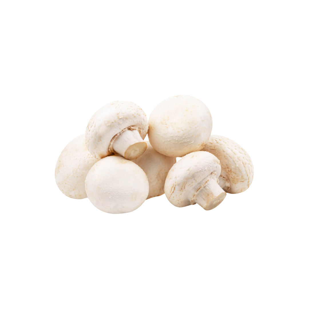Mushroom Button White UAE