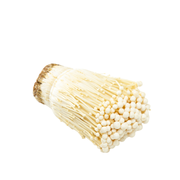 Mushroom Enoki China