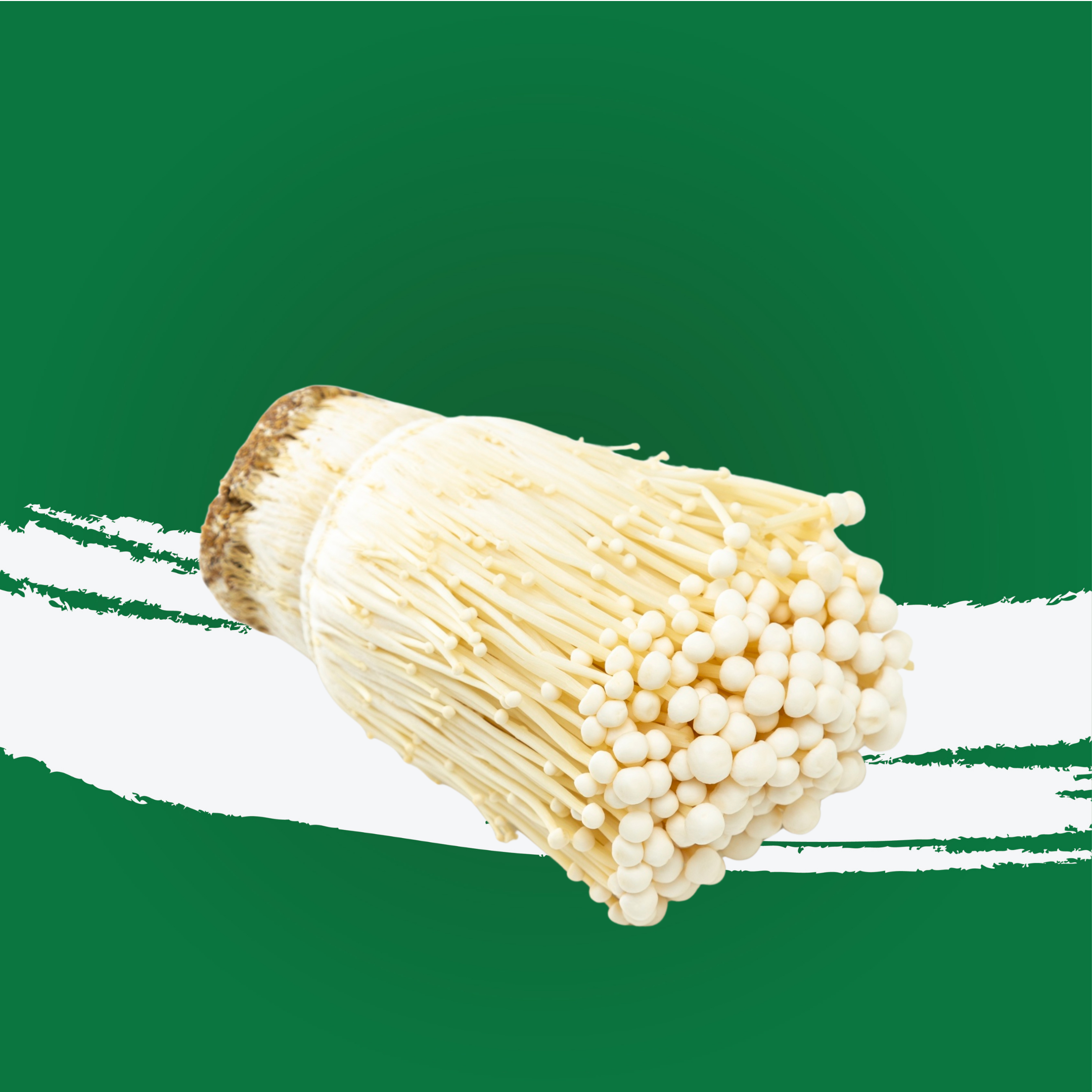 Mushroom Enoki China